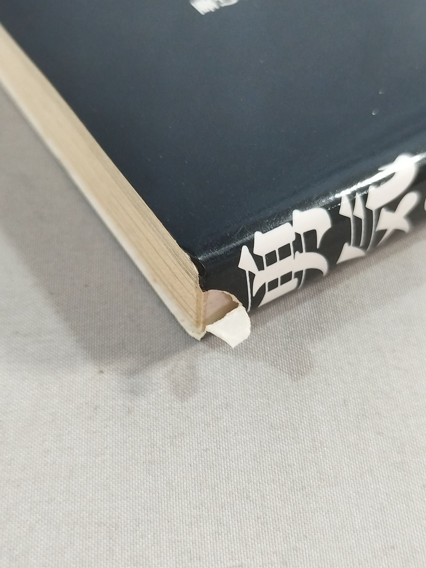 勇気ある挑戦 小さな巨人 大沢昇伝