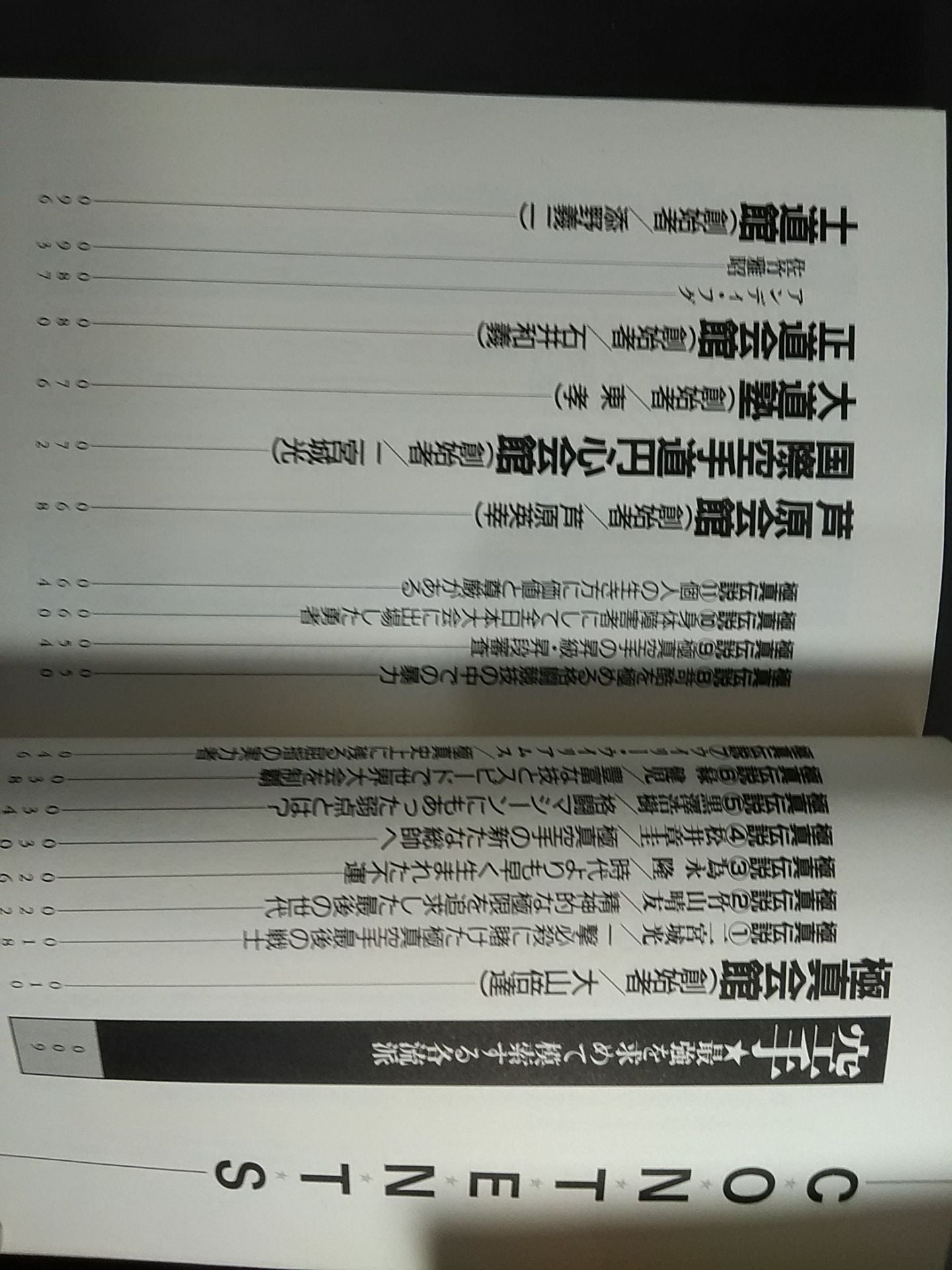 The Strongest Legend of the Fighting King