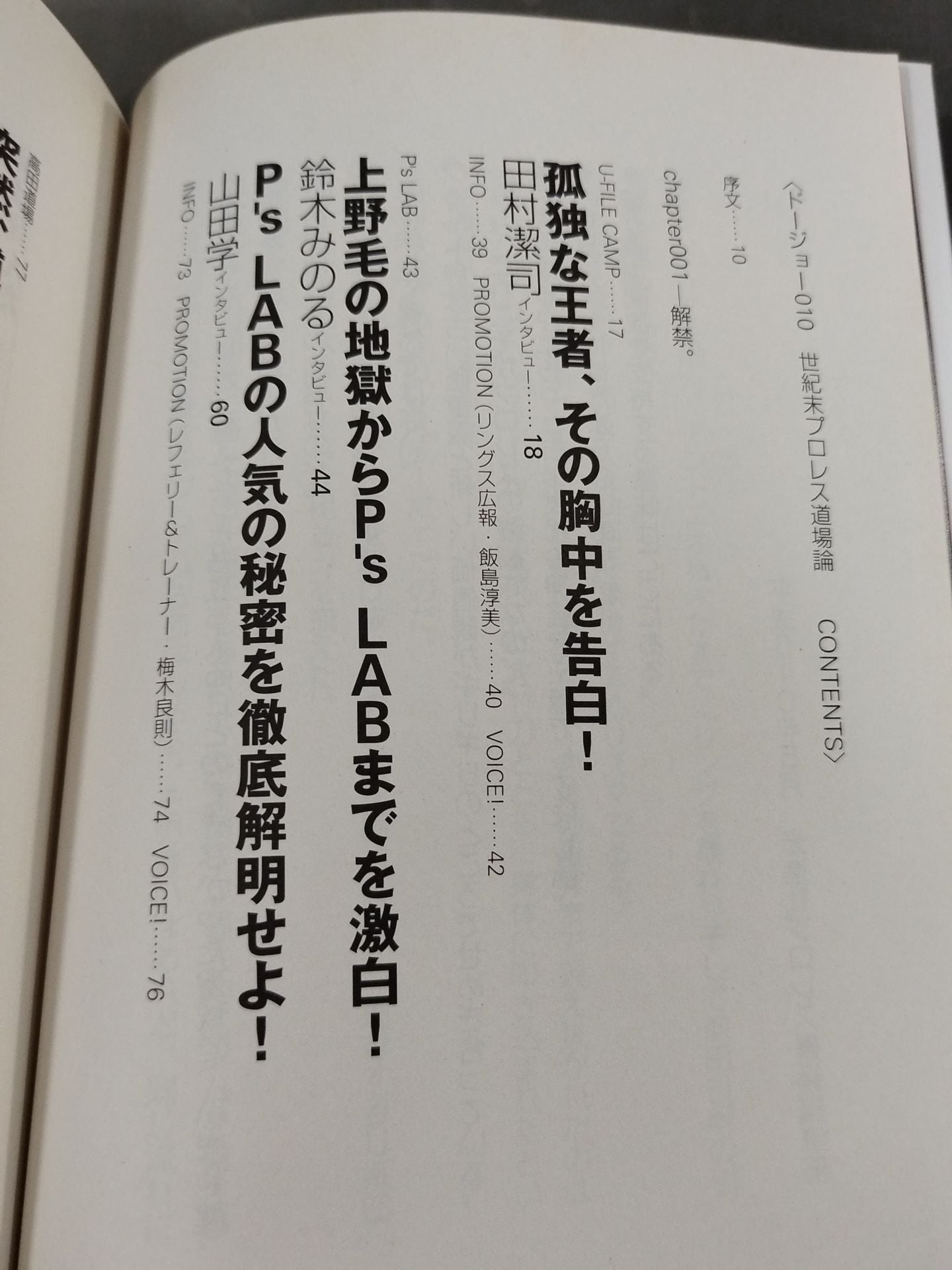 ドージョー010 世紀末プロレス道場論