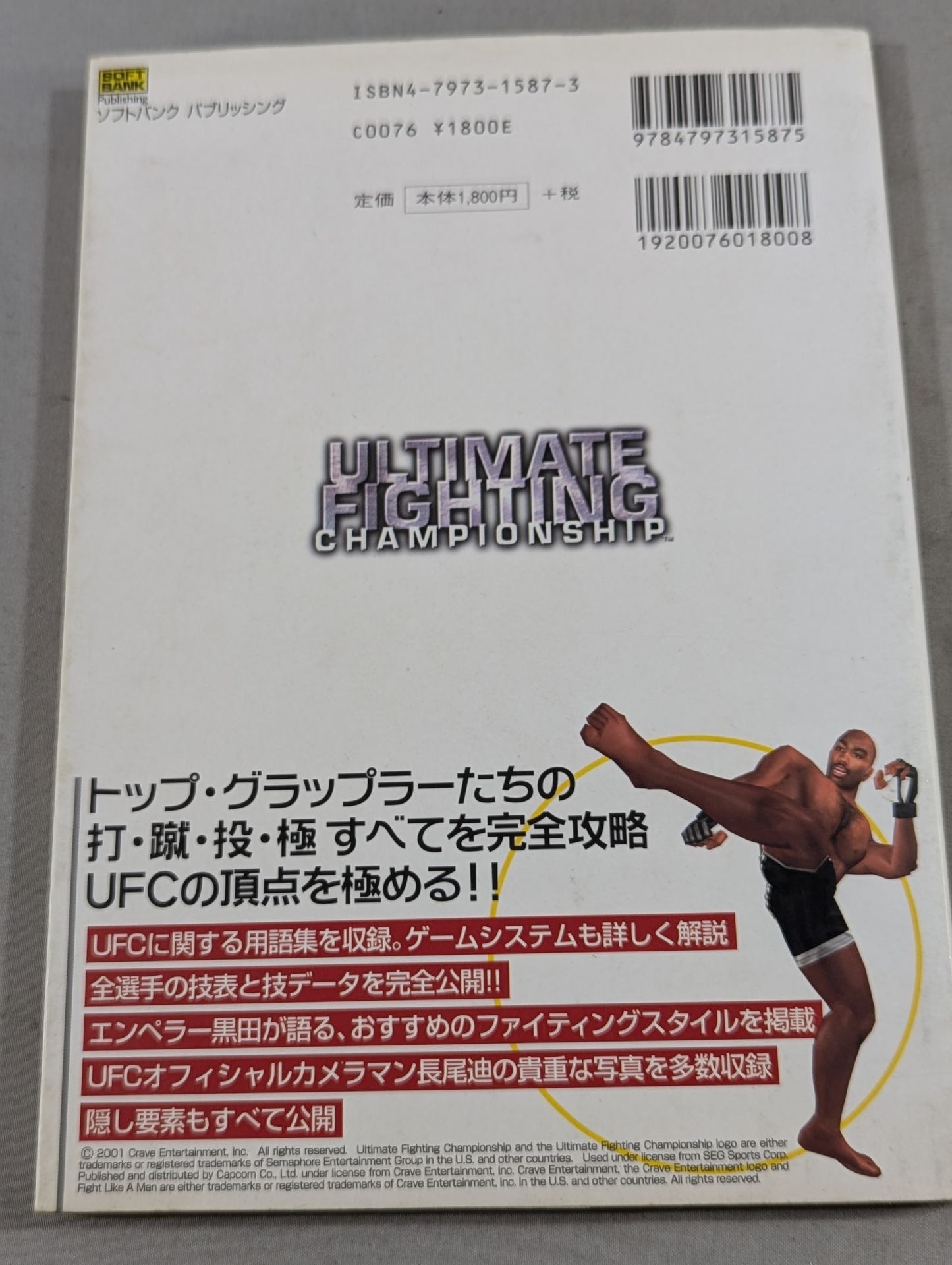 ULTIMATE FIGHTING CHAMPIONSHIP パーフェクトガイド