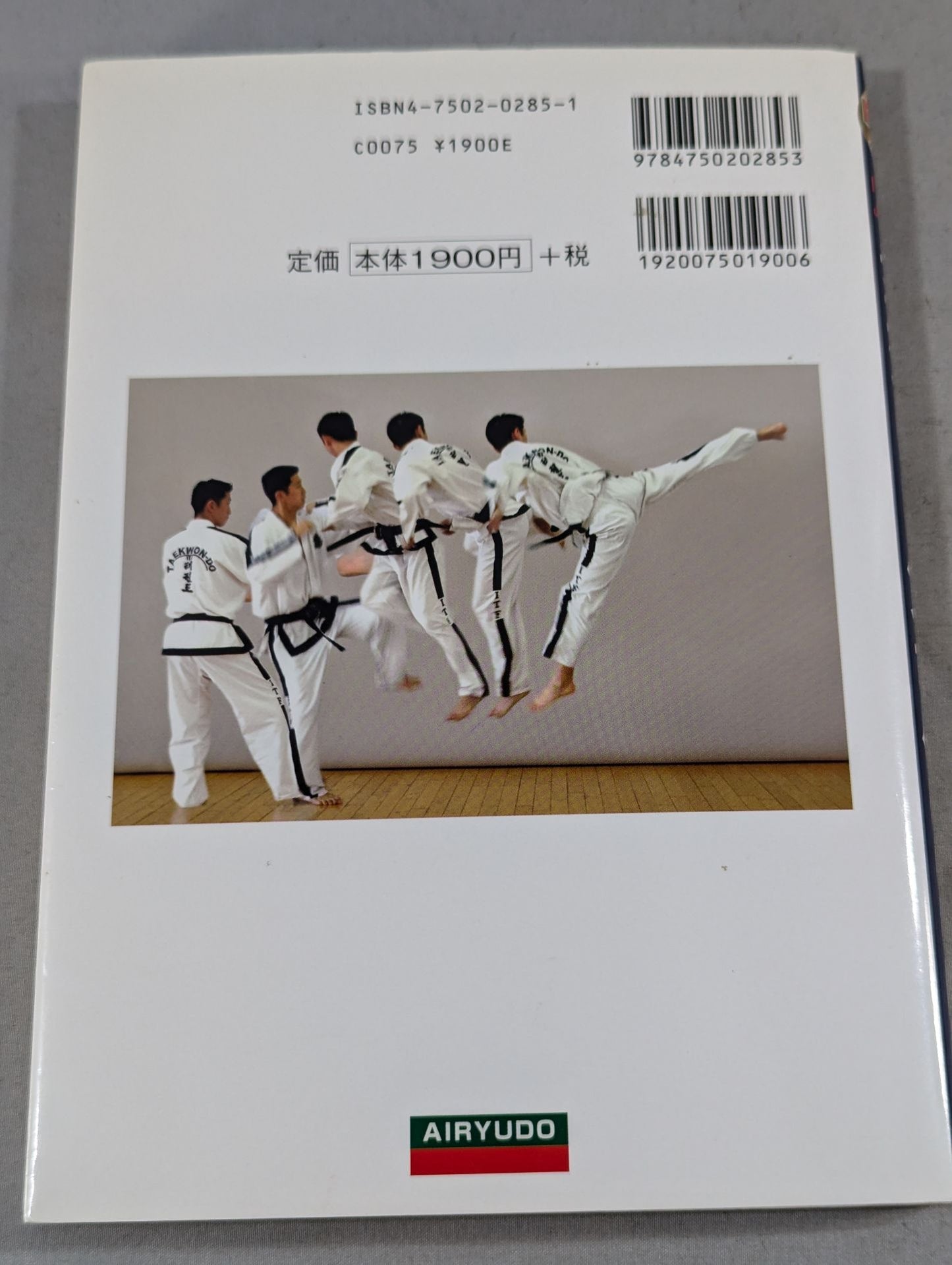Taekwondo Bible
