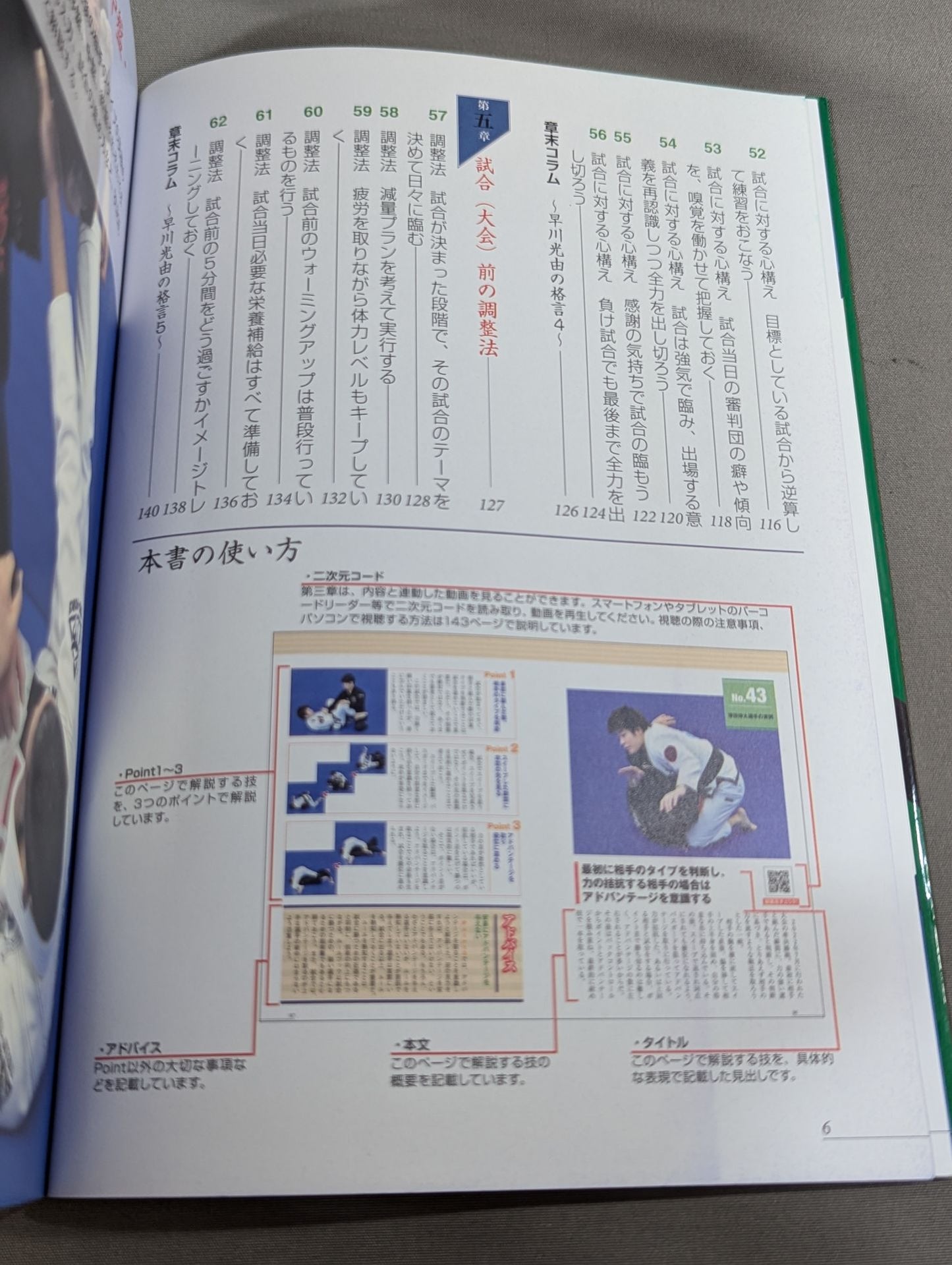 ブラジリアン柔術 必勝! 戦術バイブル 増補改訂版 試合運びがわかる実践動画付き