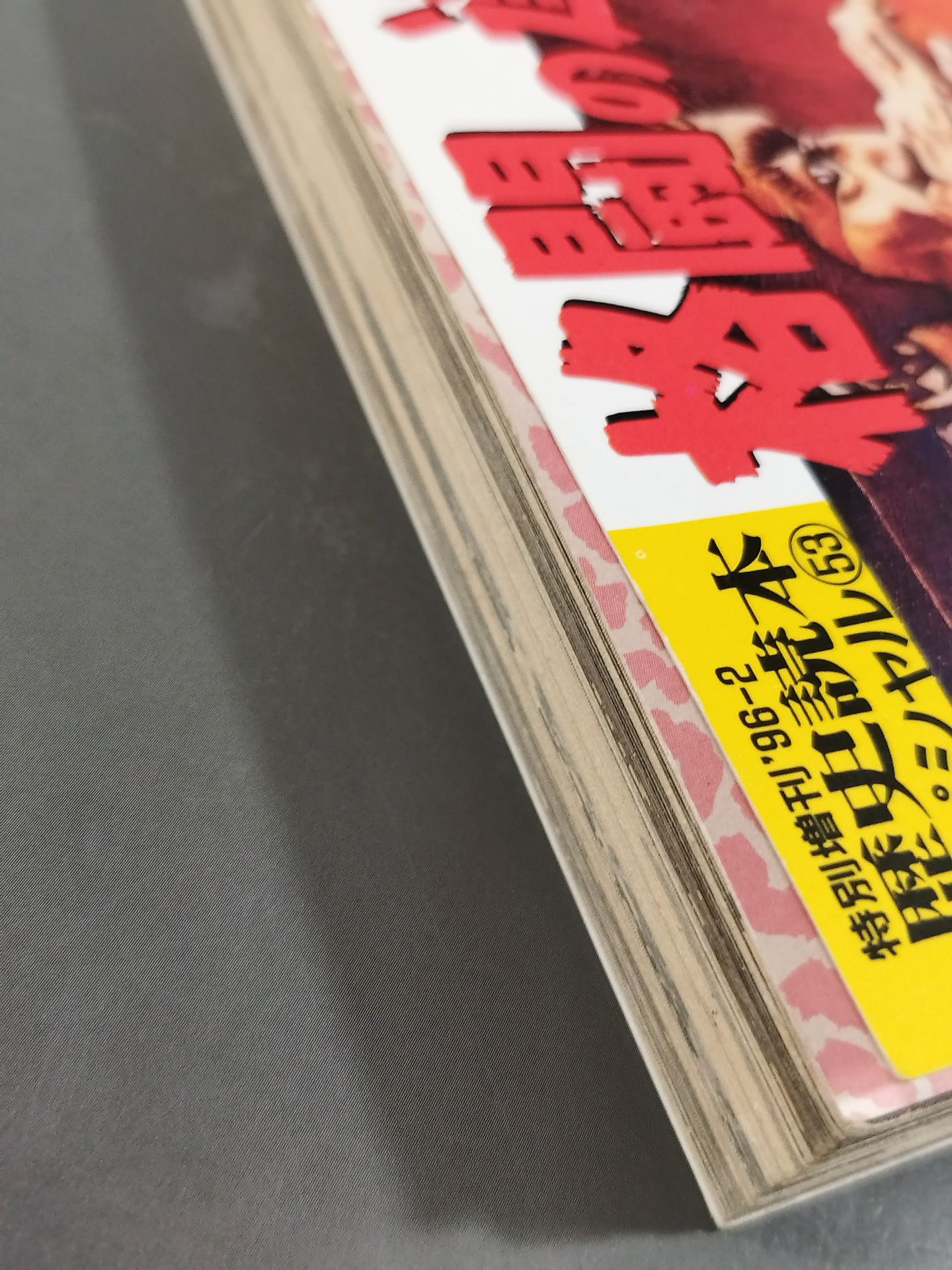 Master of Fighting History Reader Special 53