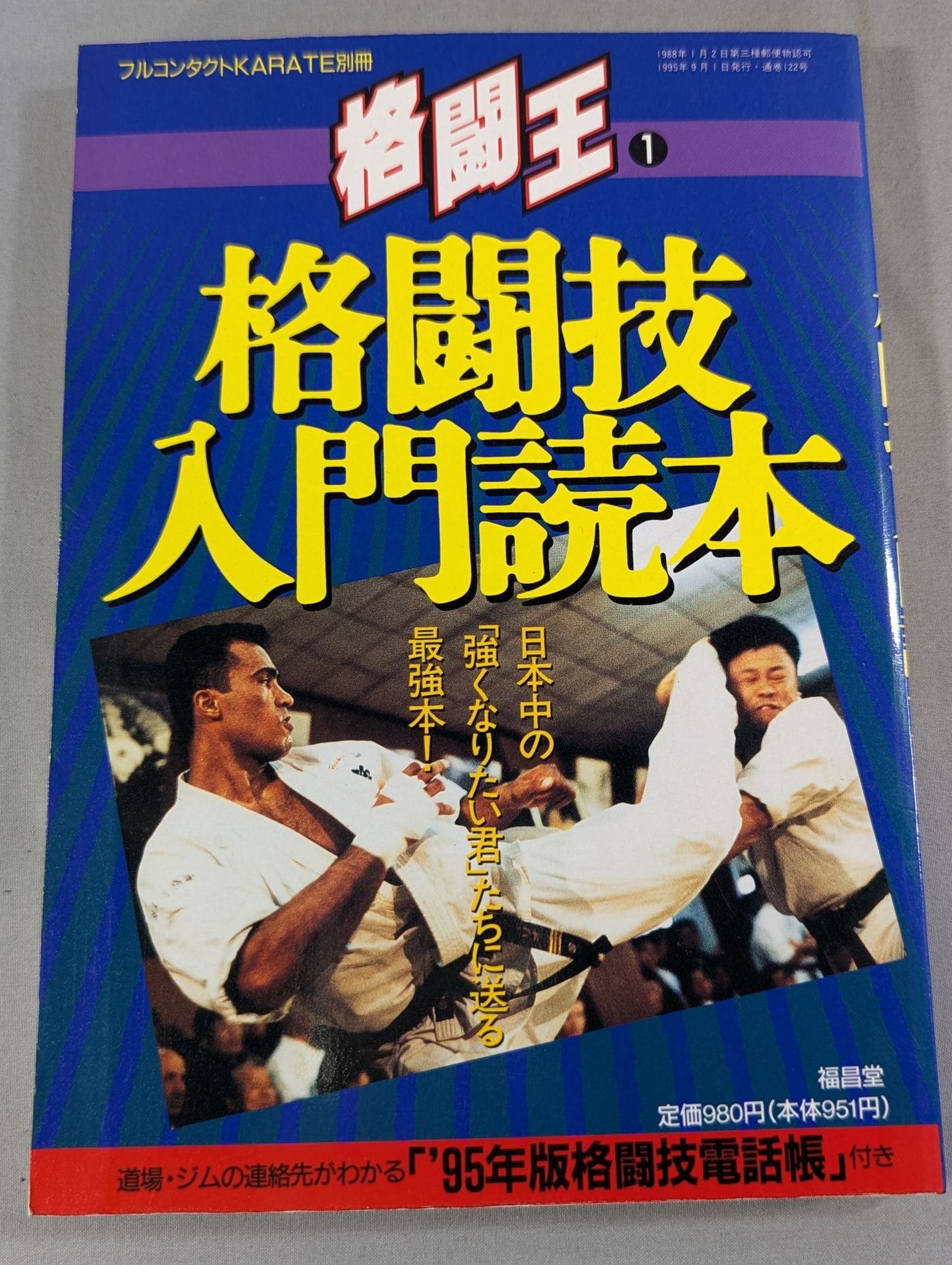 Fighting King 1 Martial Arts Introductory Reader
