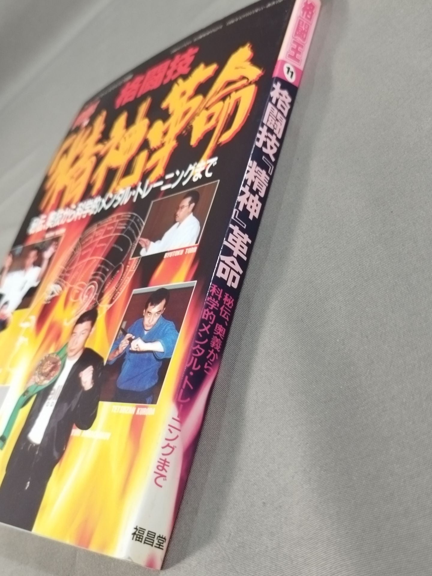 格闘王11 格闘技「精神」革命 秘伝、奥義から科学的メンタル・トレーニングまで