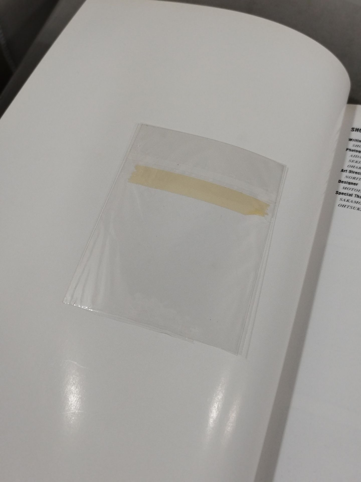 修斗オフィシャルブック