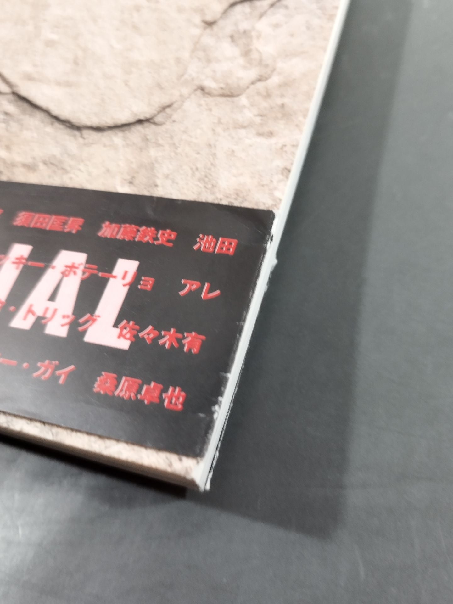 修斗オフィシャルブック
