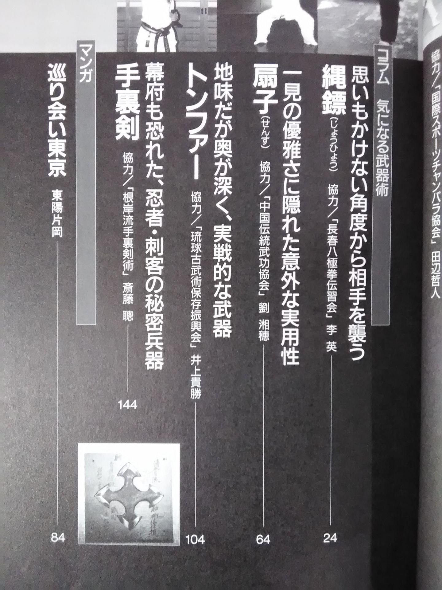 格闘王15 マーシャルアーツ・マニア