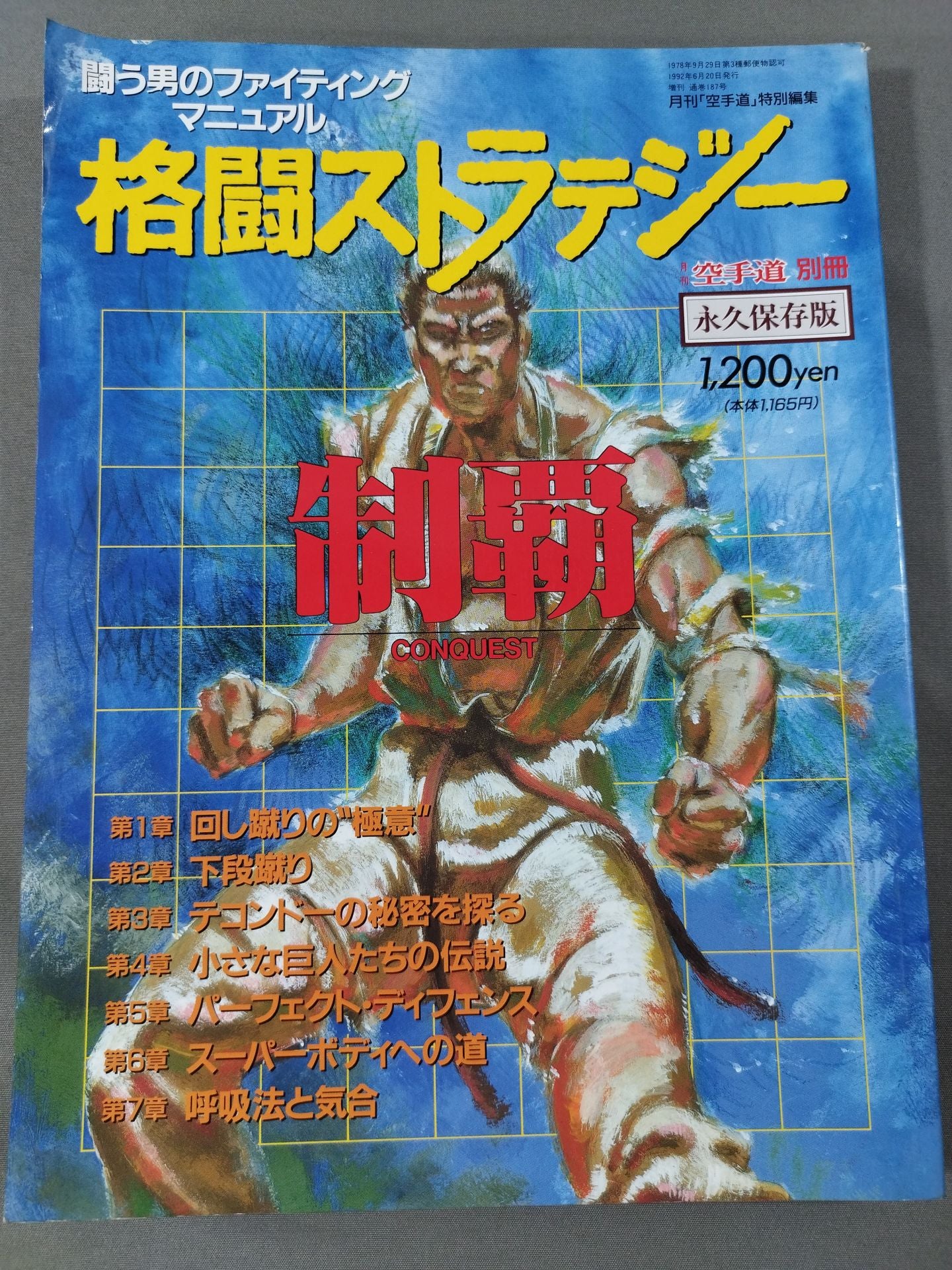 Fighting Strategy Conquest The Fatting Manual of the Fighting Man