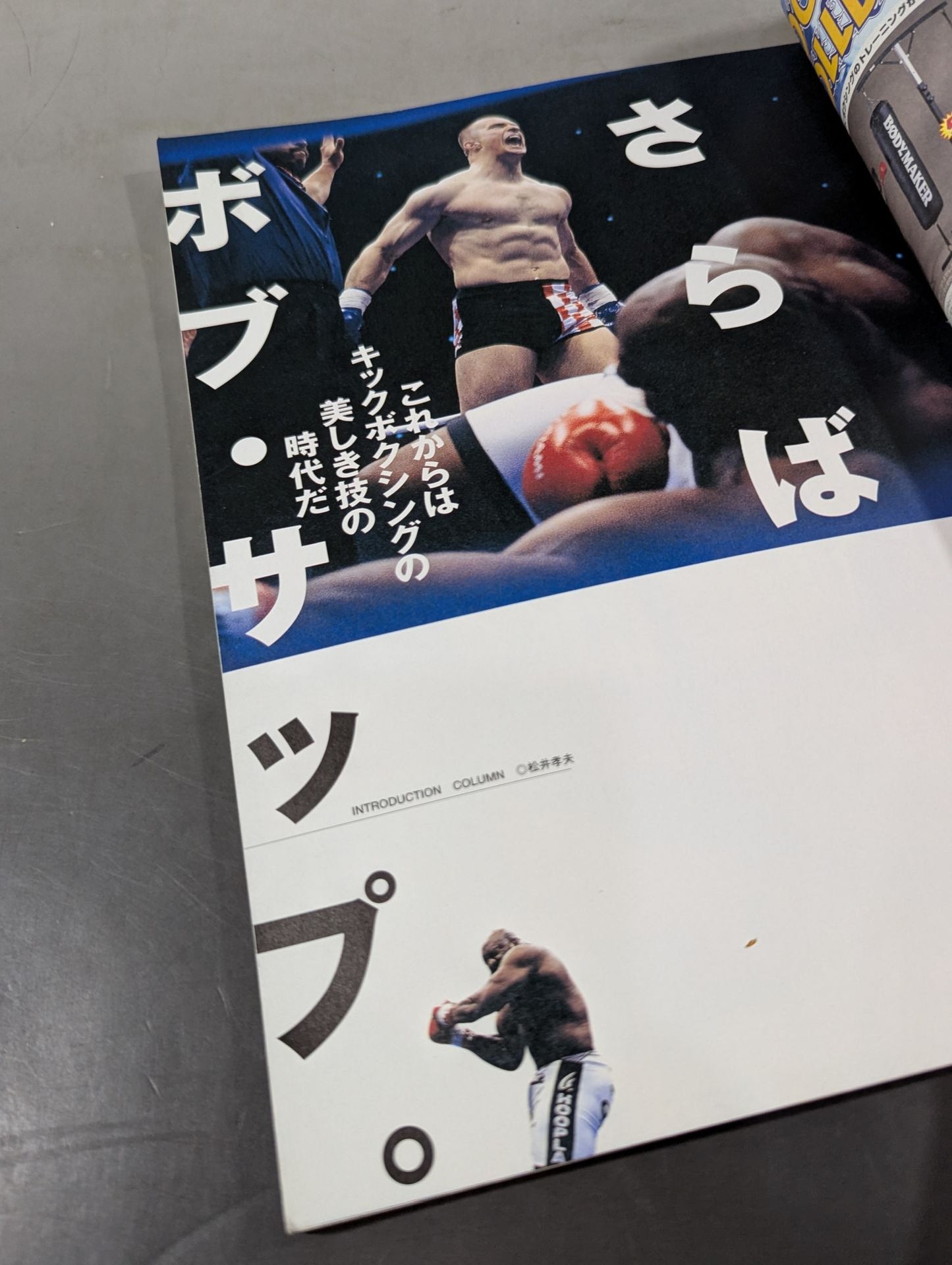 キックボクシング入門 ~平凡な日常にキック・ユア・アス!~