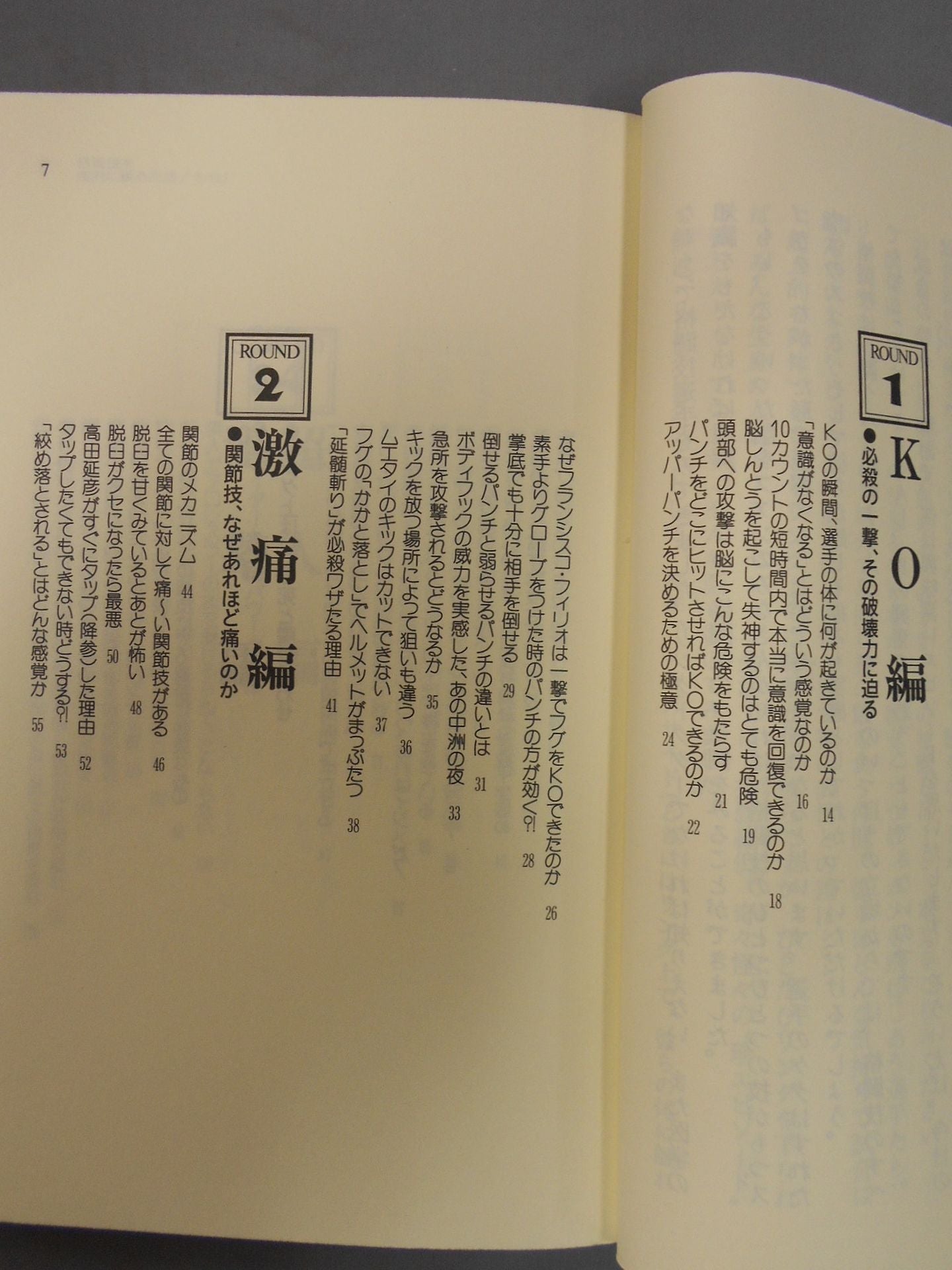 格闘技を知的に観る方法