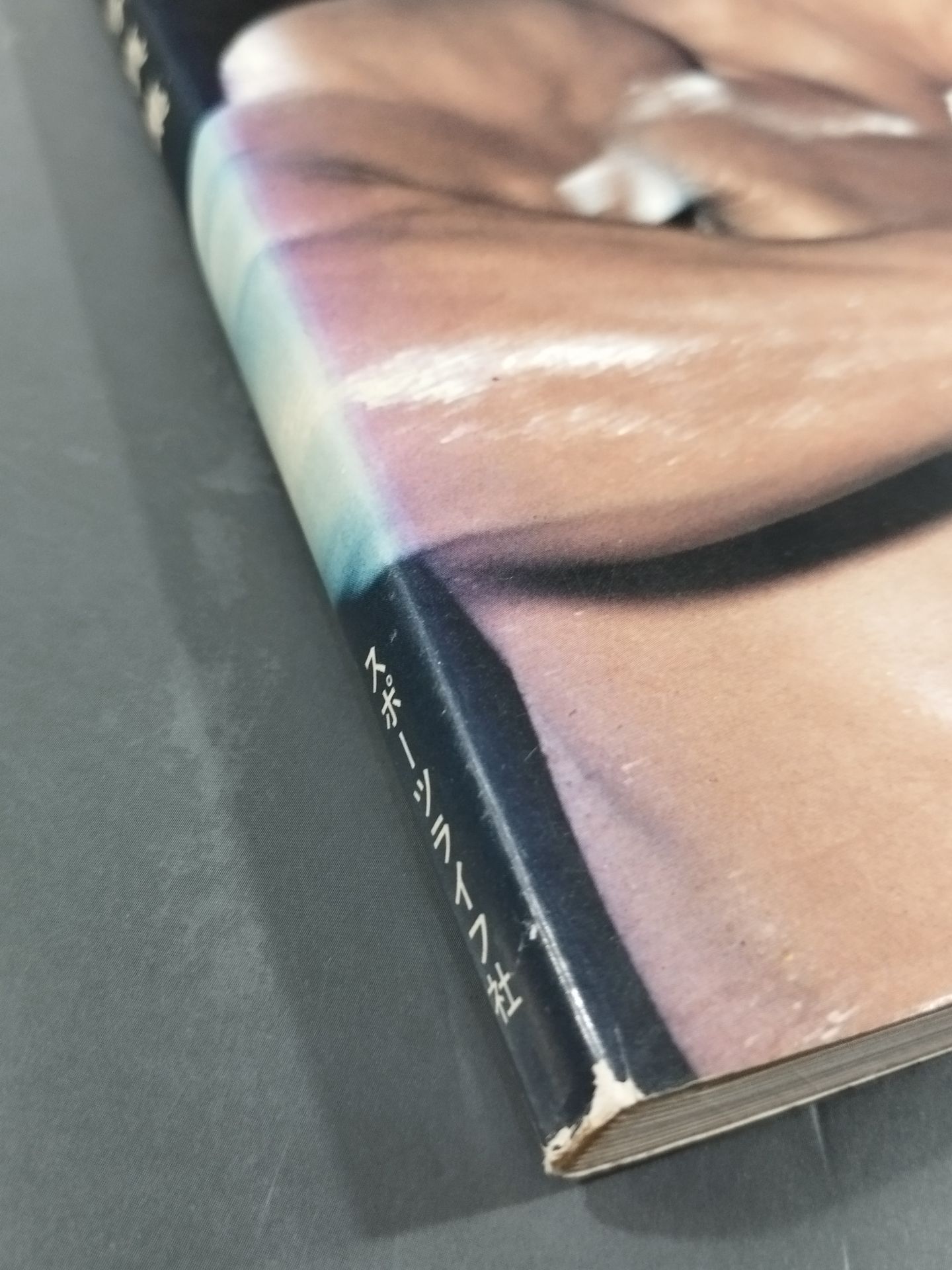 藤原敏男写真集 闘(たたかい)