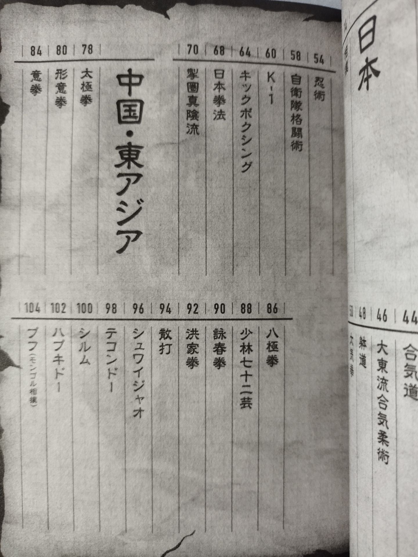 世界のすごい武術・格闘技 一番ヤバい奴らはココにいる!!