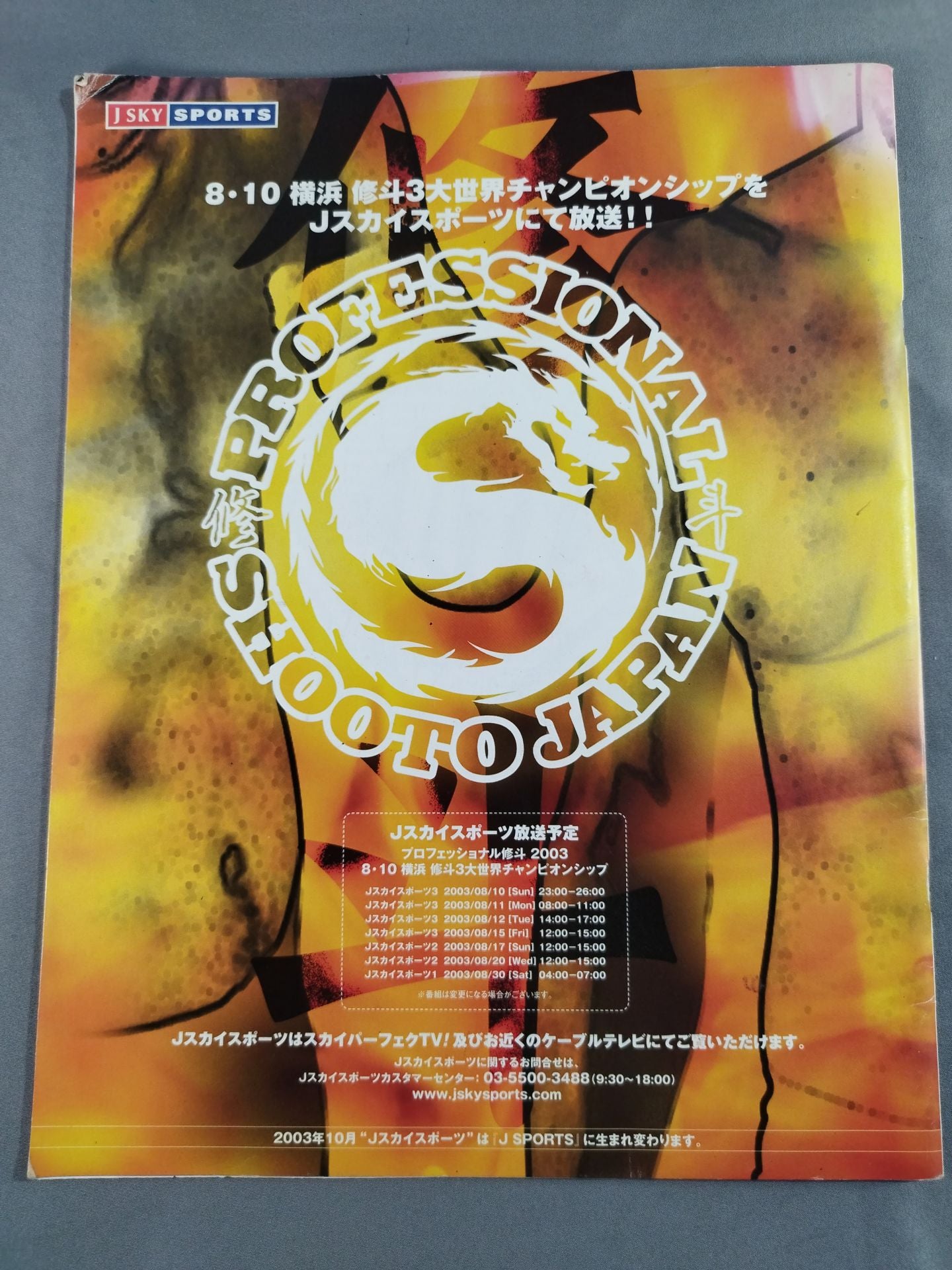 修斗 世界三大チャンピオンシップ