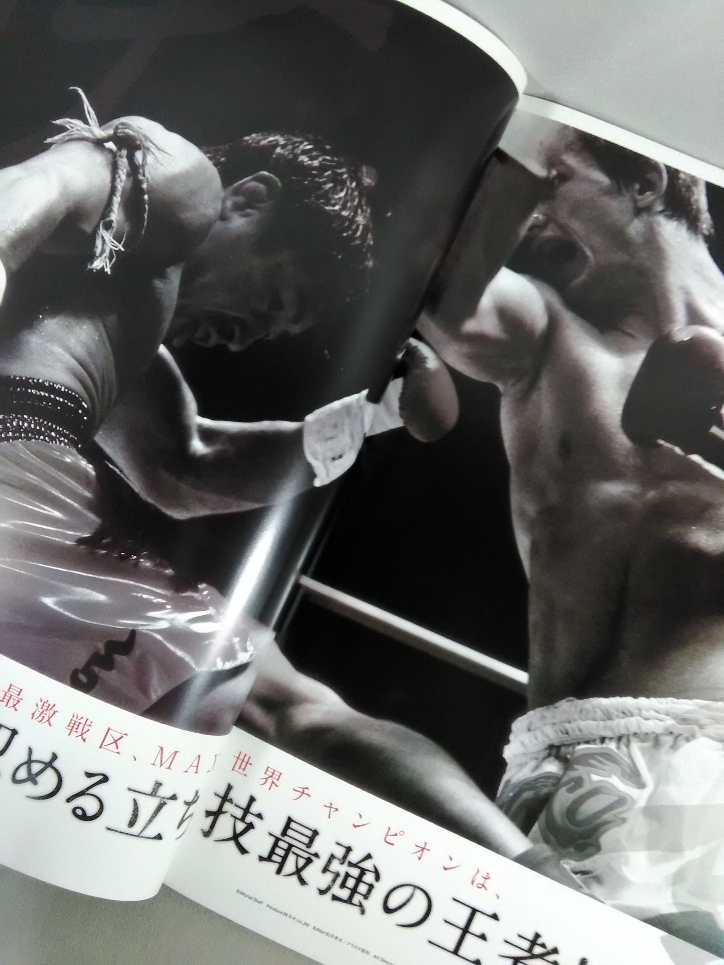 K-1 WORLD MAX 2009 FINAL ~世界一決定トーナメントFINAL~