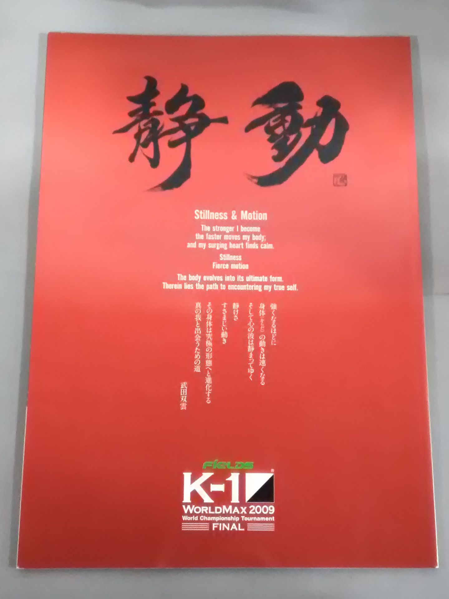 K-1 WORLD MAX 2009 FINAL ~世界一決定トーナメントFINAL~