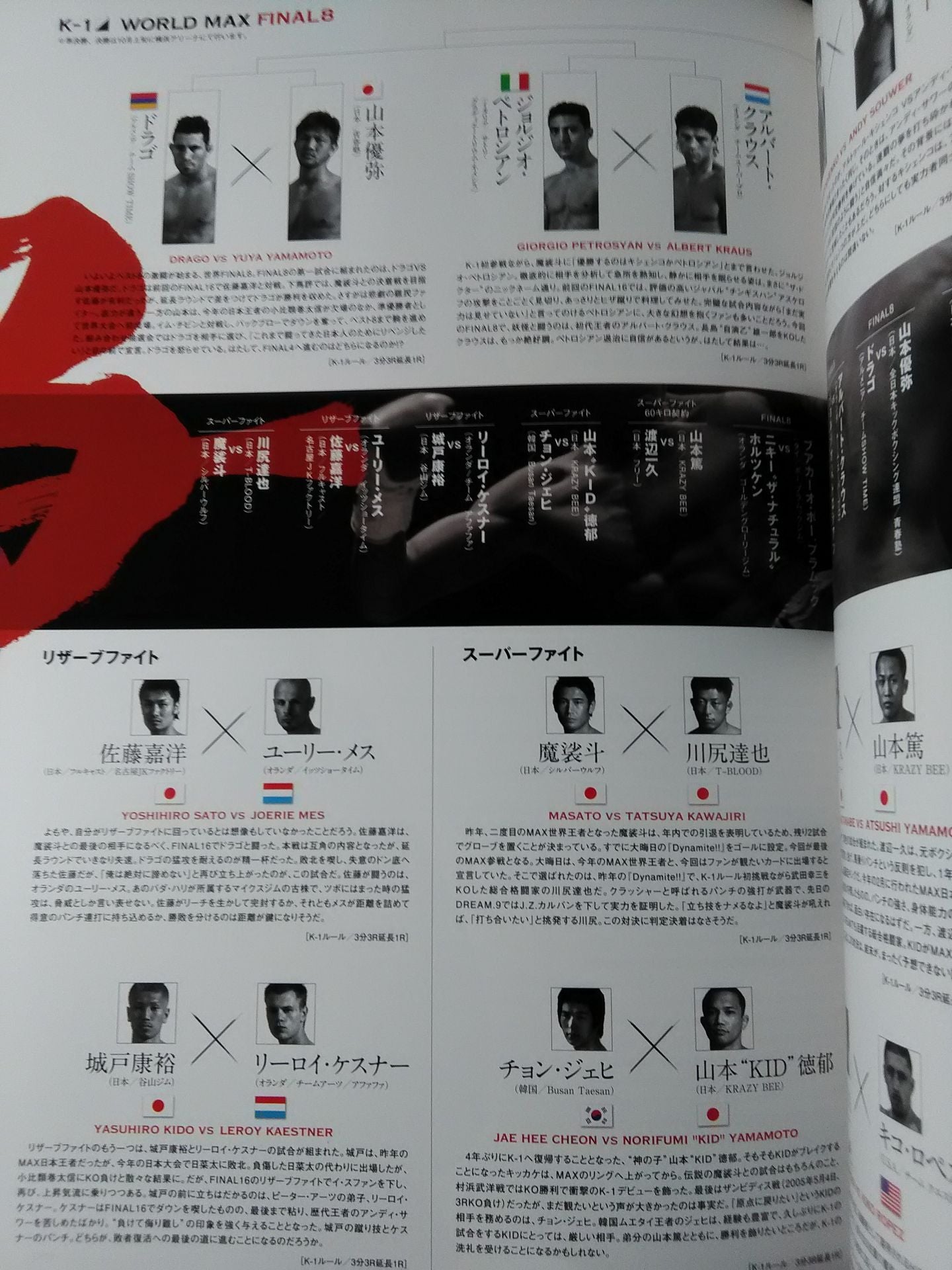 K-1 WORLD MAX 2009 ~世界一決定トーナメント FINAL8~