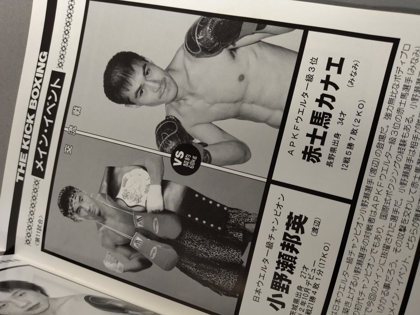日本キックボクシング連盟 2001激動シリーズ