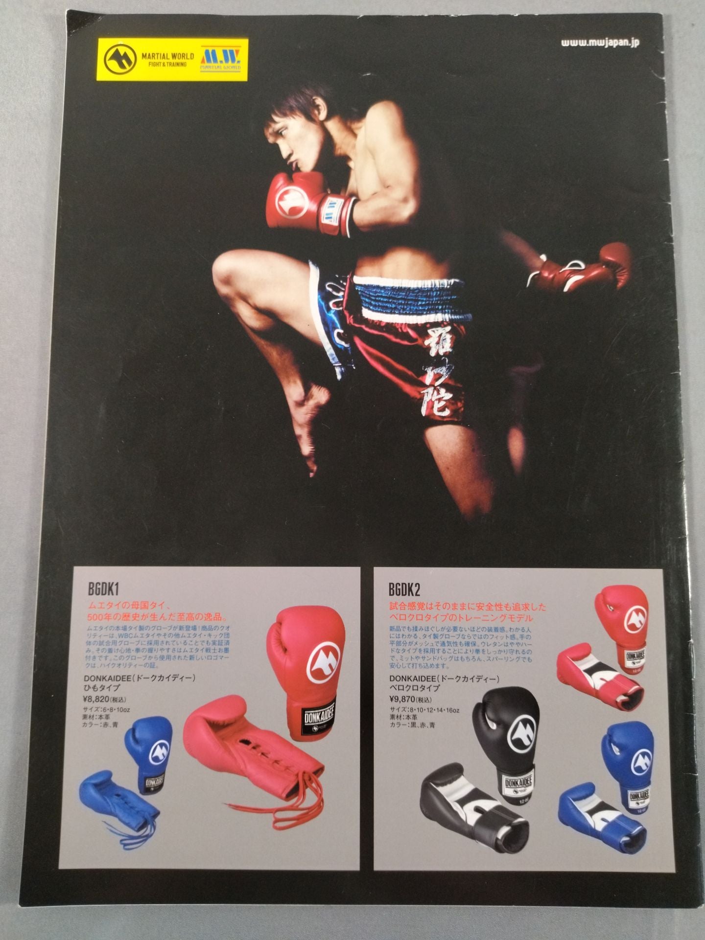 ニュージャパンキック KICK TO THE FUTURE 9