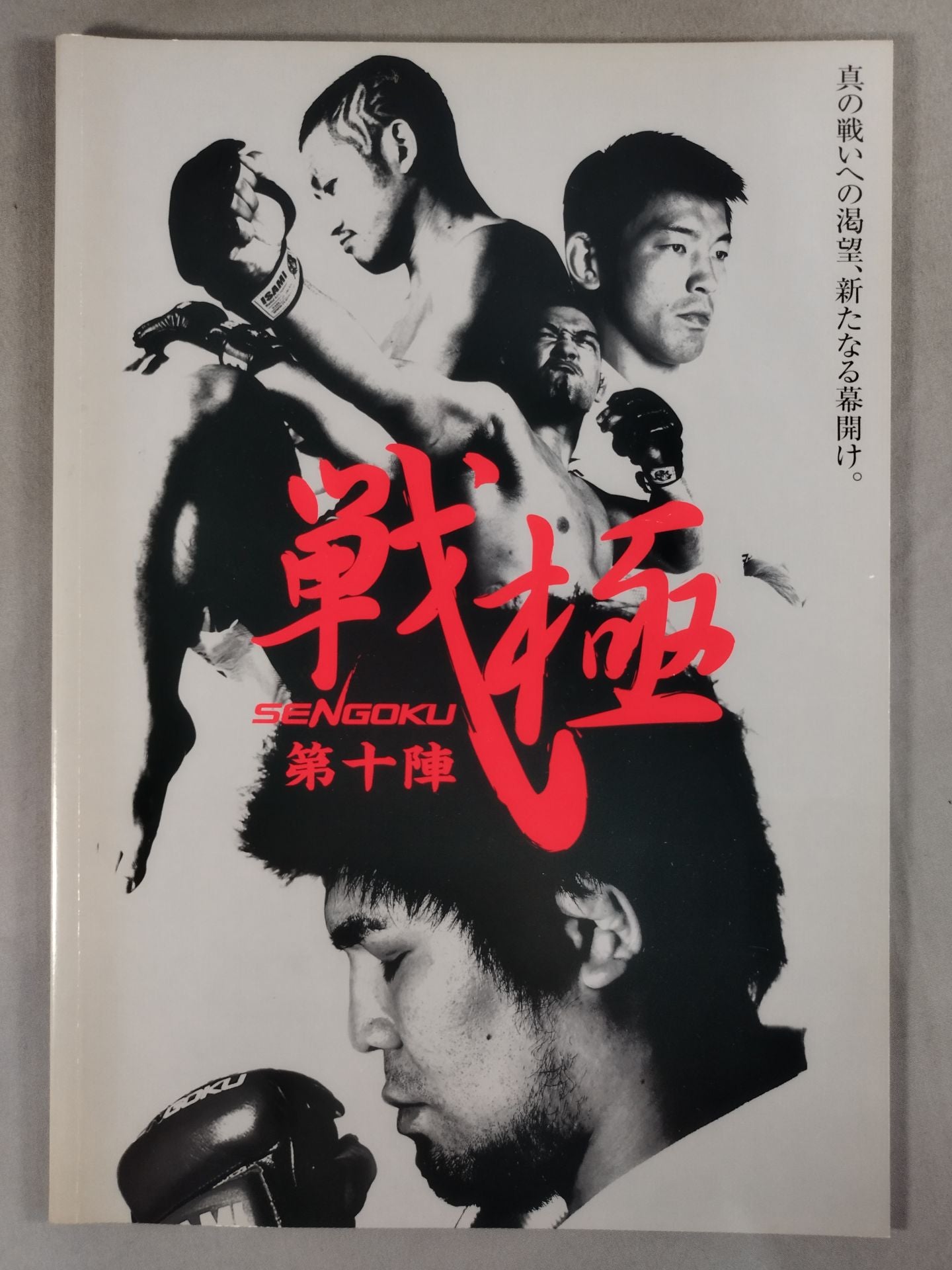 戦極 SENGOKU 第十陣
