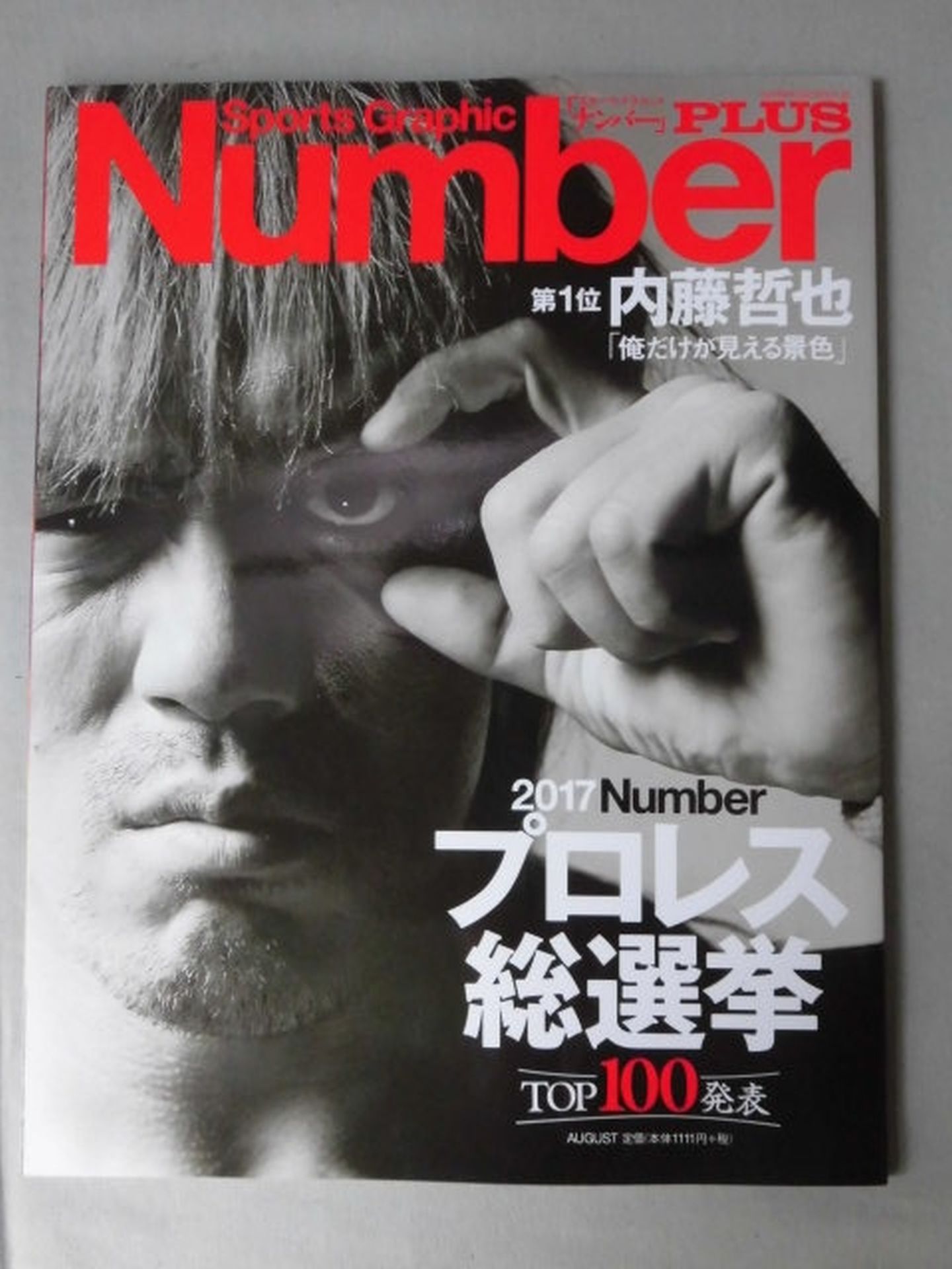 NumberPLUS Pro Wrestling General Election 2017