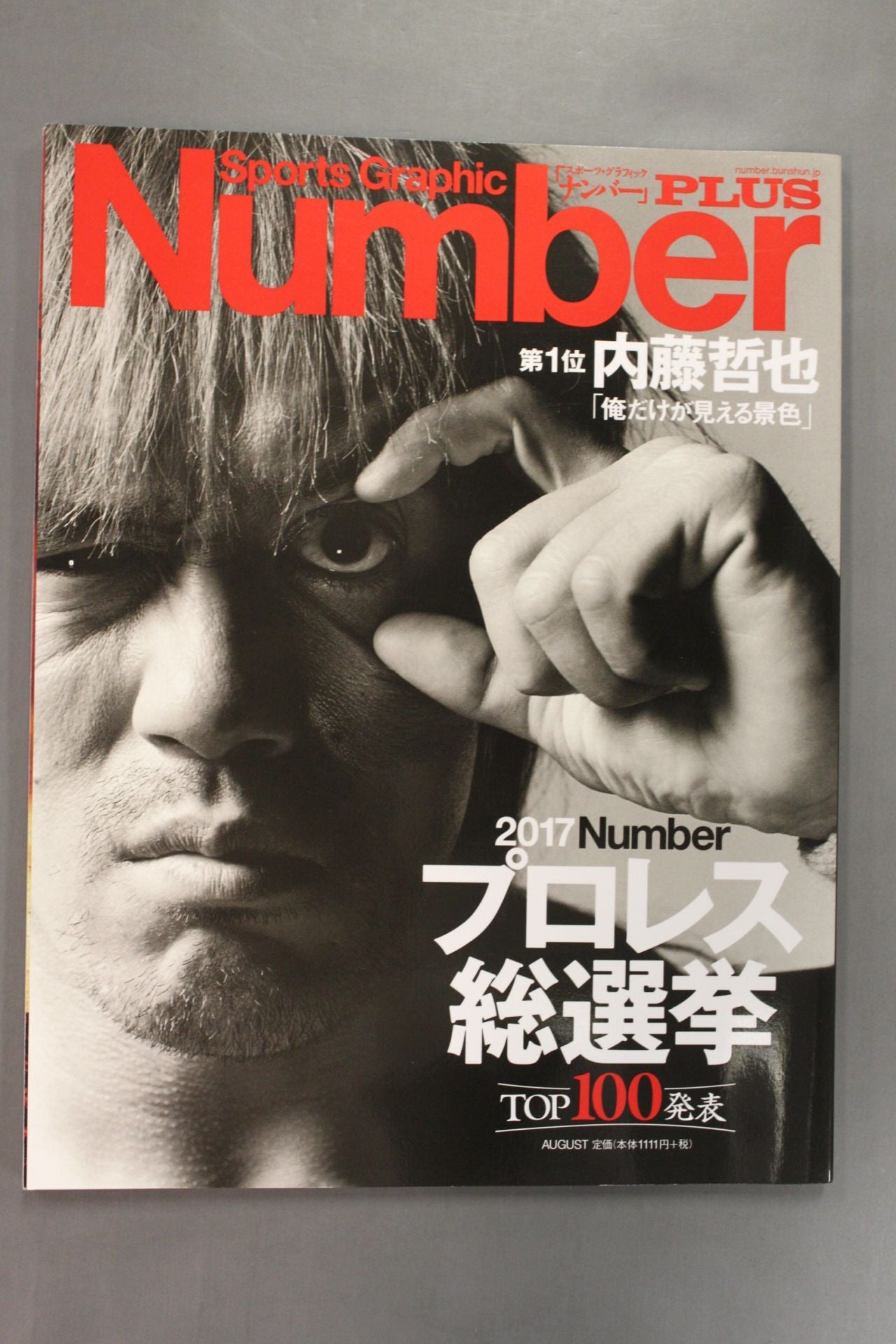 NumberPLUS プロレス総選挙2017