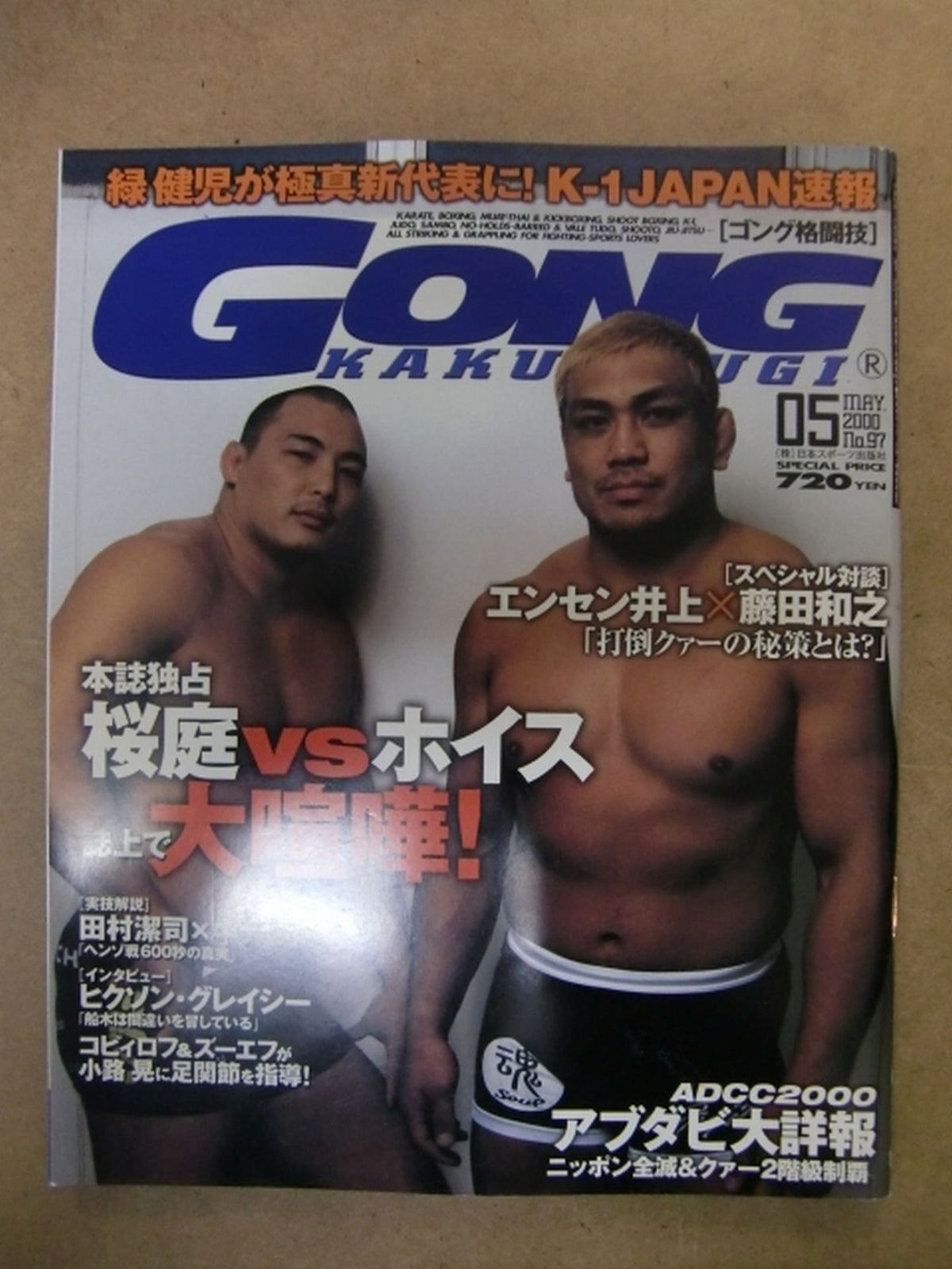 Gong Martial Arts 447