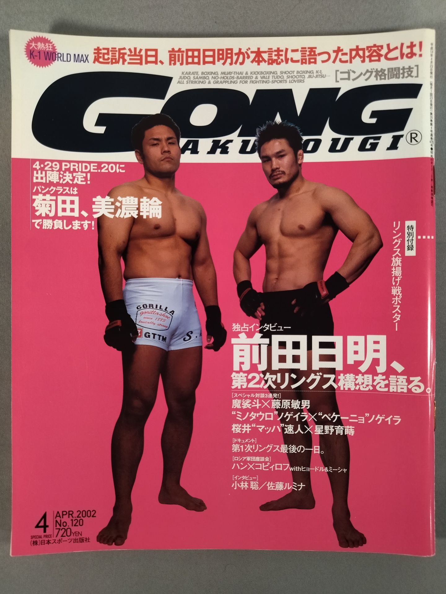 Gong Martial Arts 470