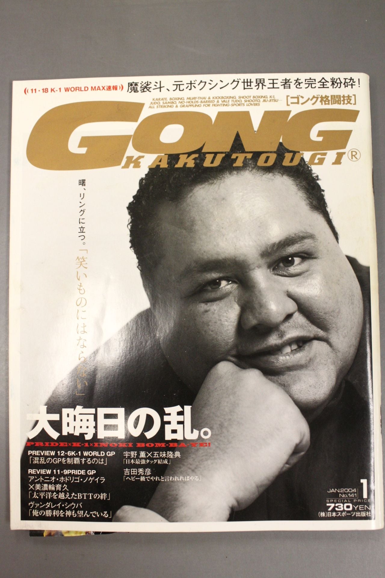 Gong Martial Arts 491