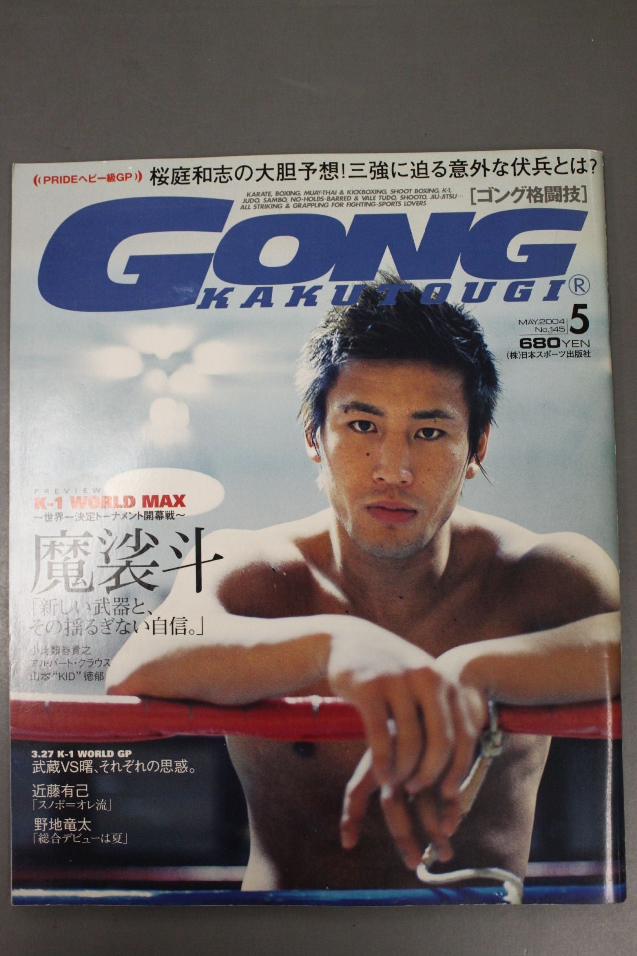 Gong Martial Arts 495