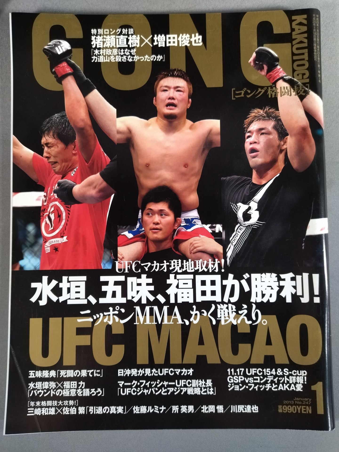 Gong Martial Arts No.247