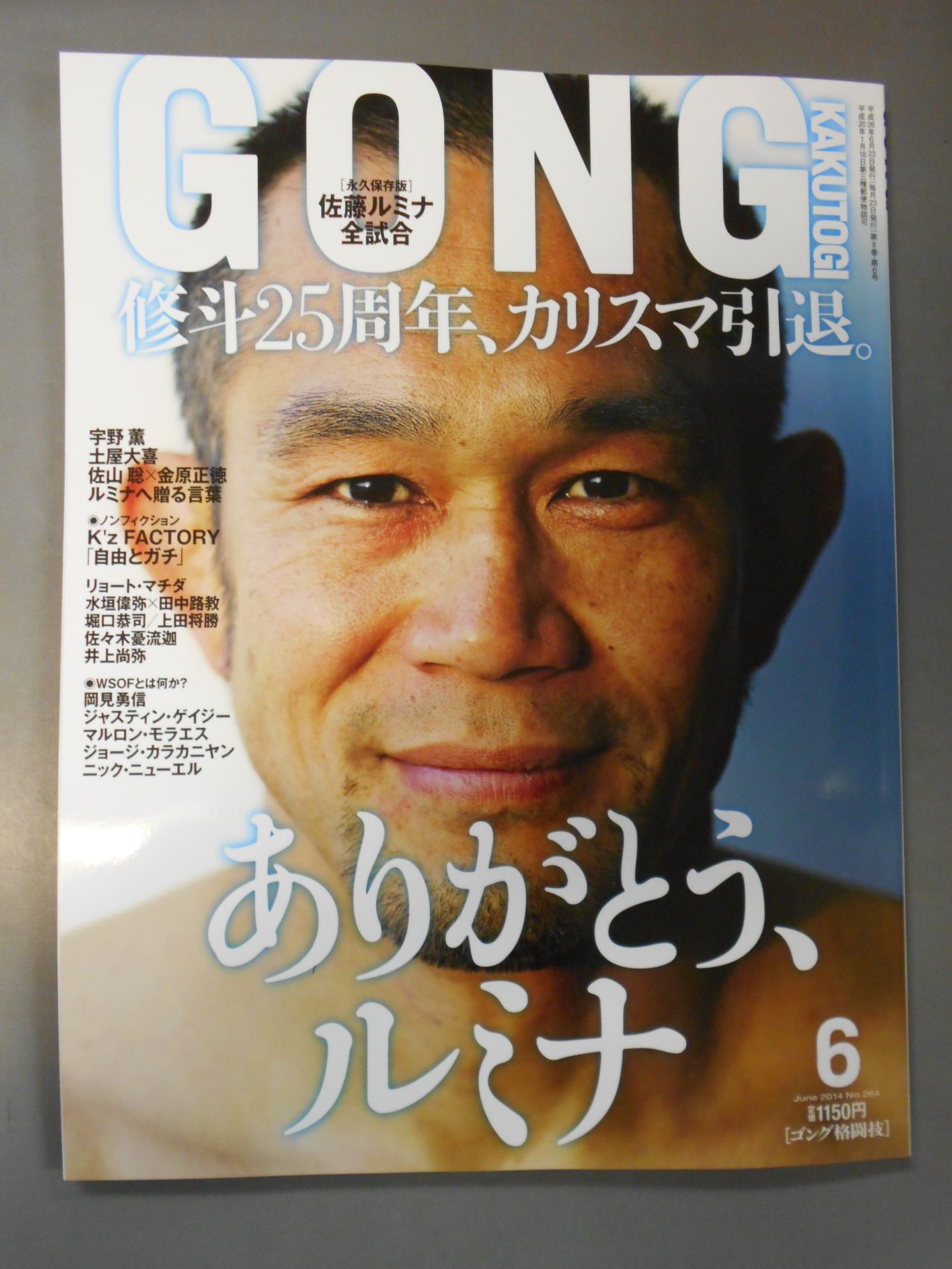 Gong Martial Arts No.264