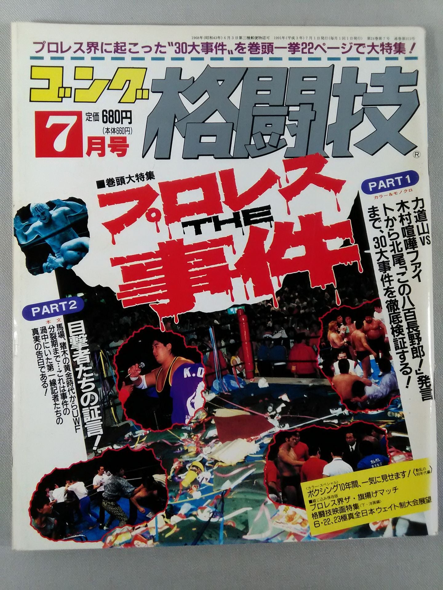 Gong Martial Arts 313