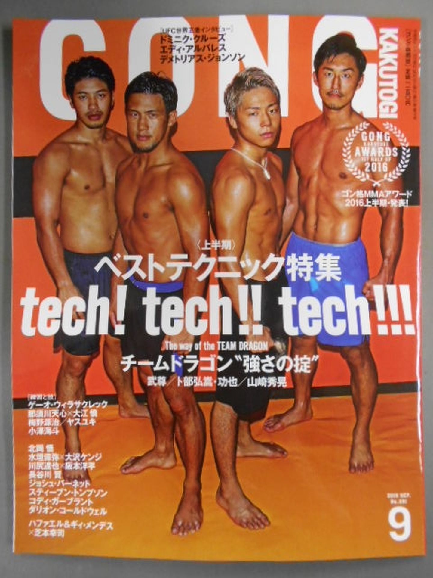 ゴング格闘技No.291