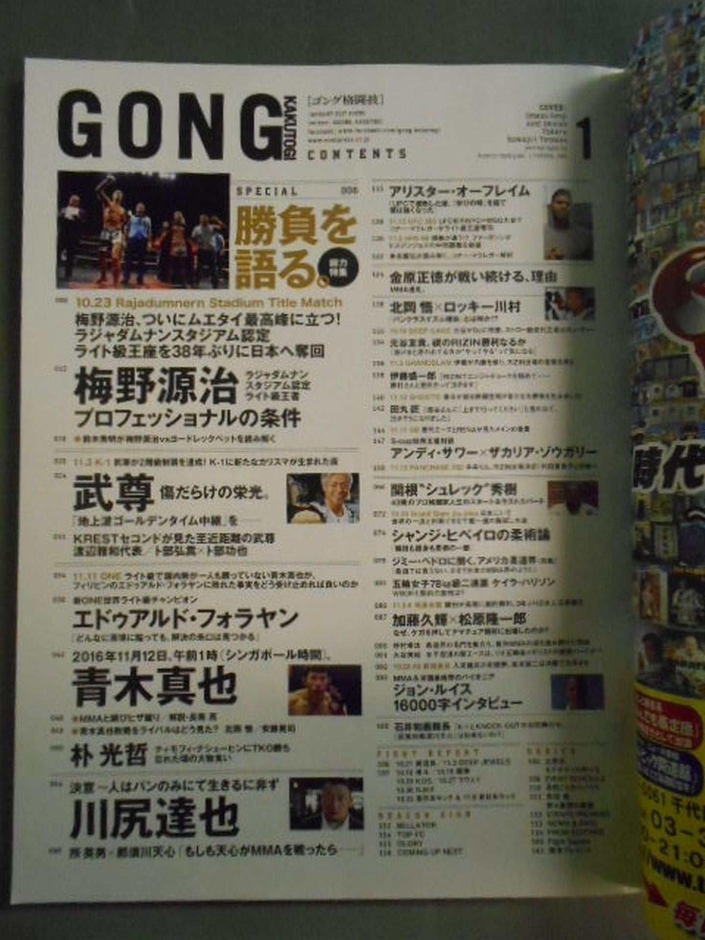 ゴング格闘技No.295