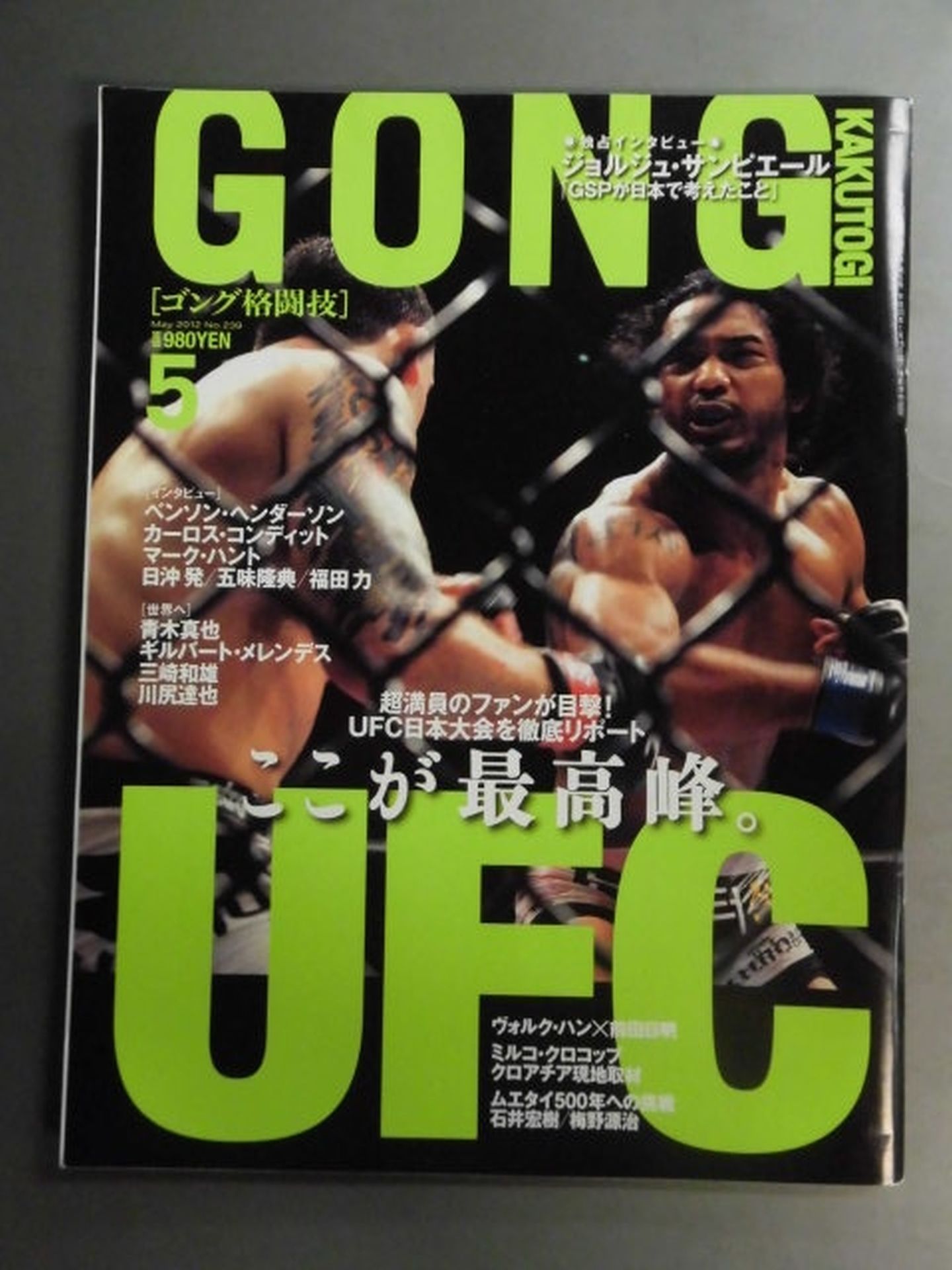 Gong Martial Arts No.239
