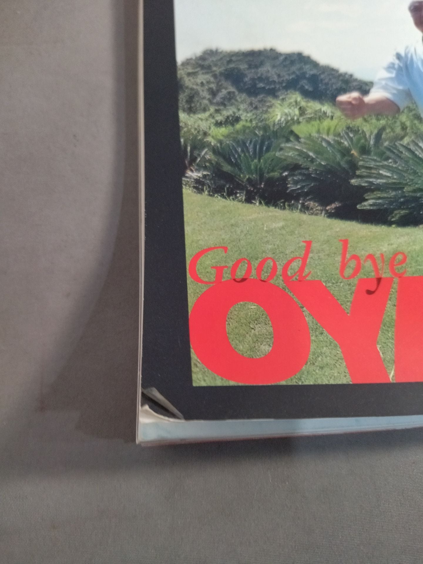 ゴング格闘技増刊バトルシリーズVol.8