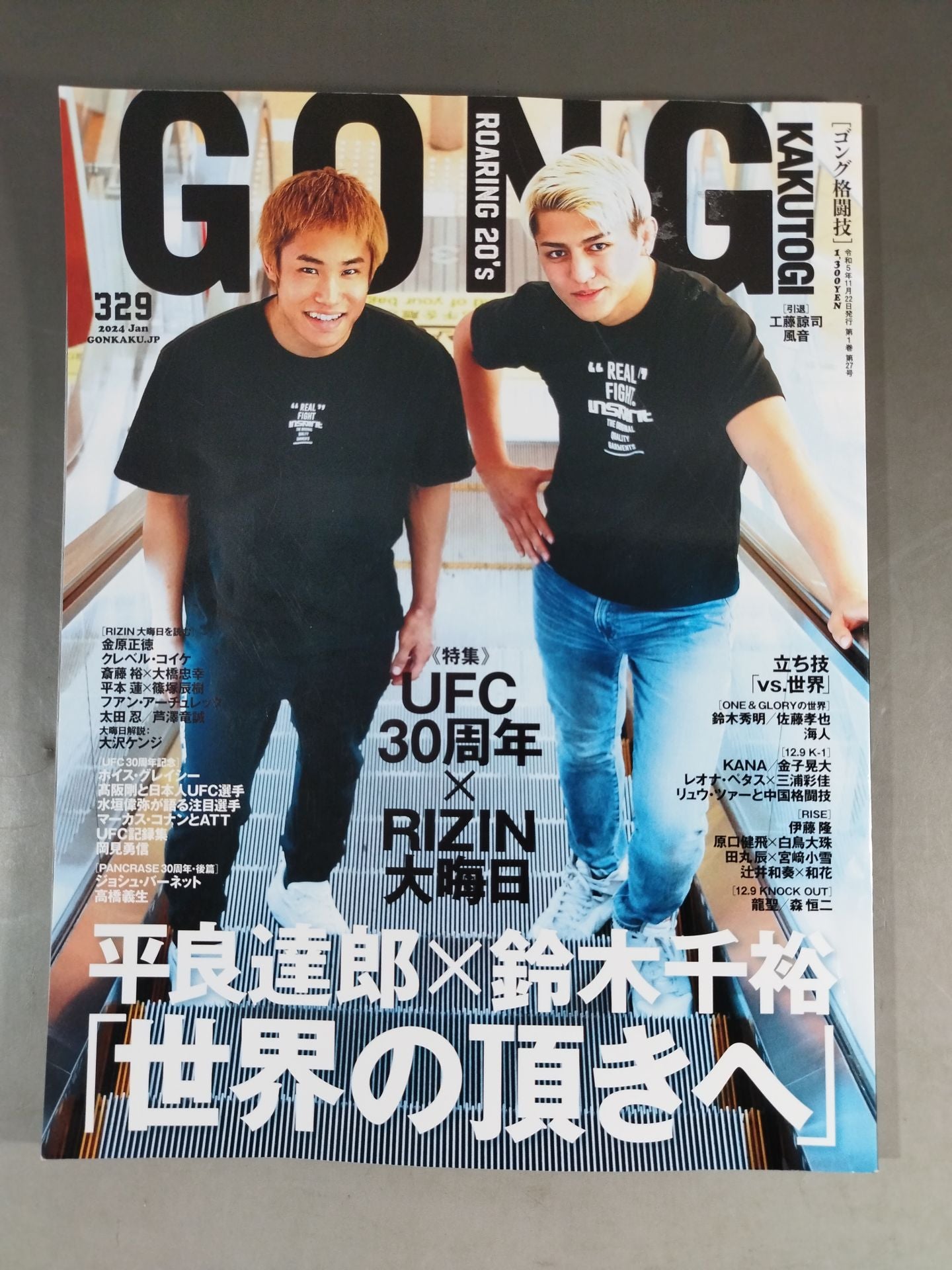 ゴング格闘技No.329