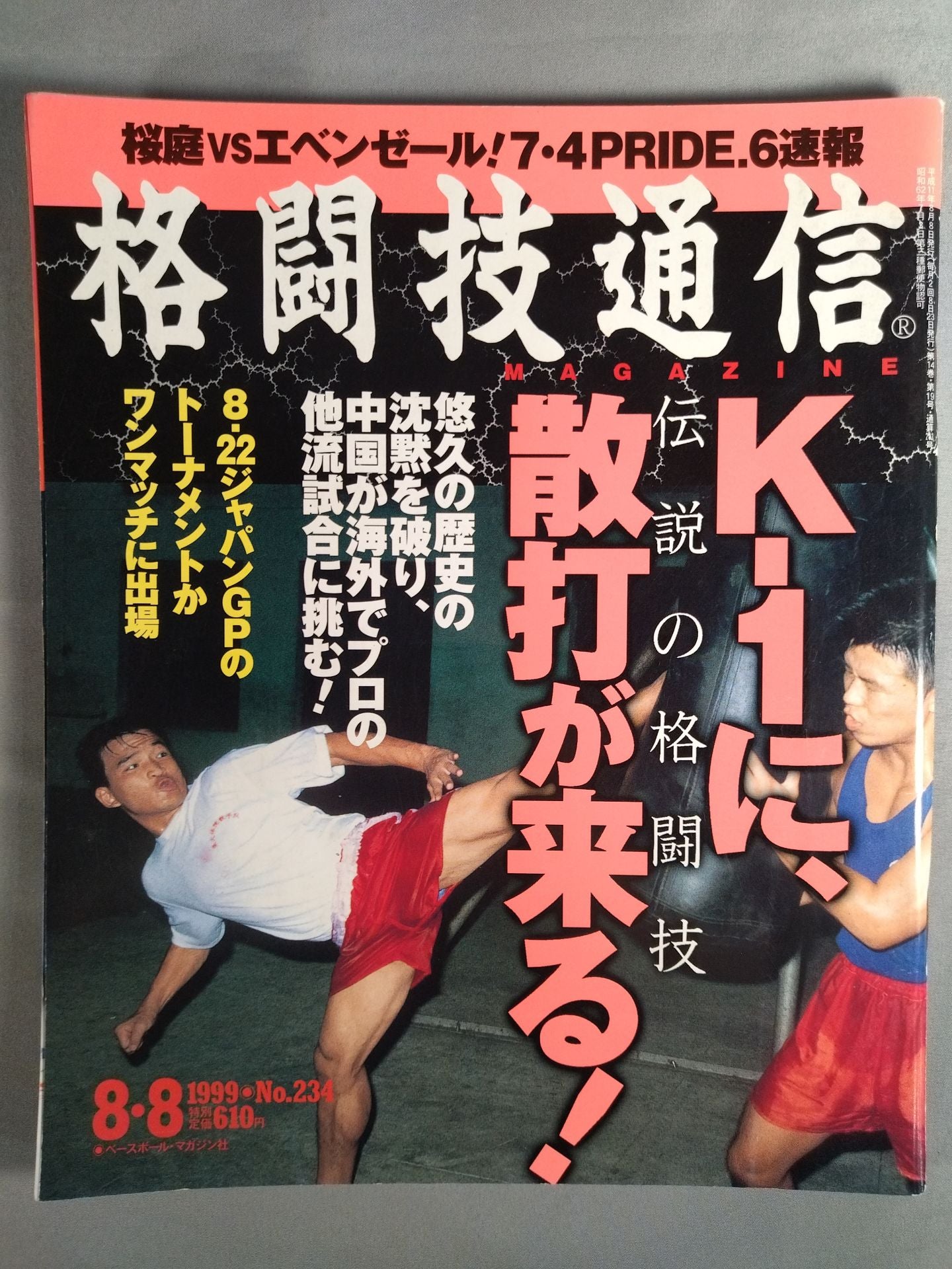 Martial Arts Communication 234