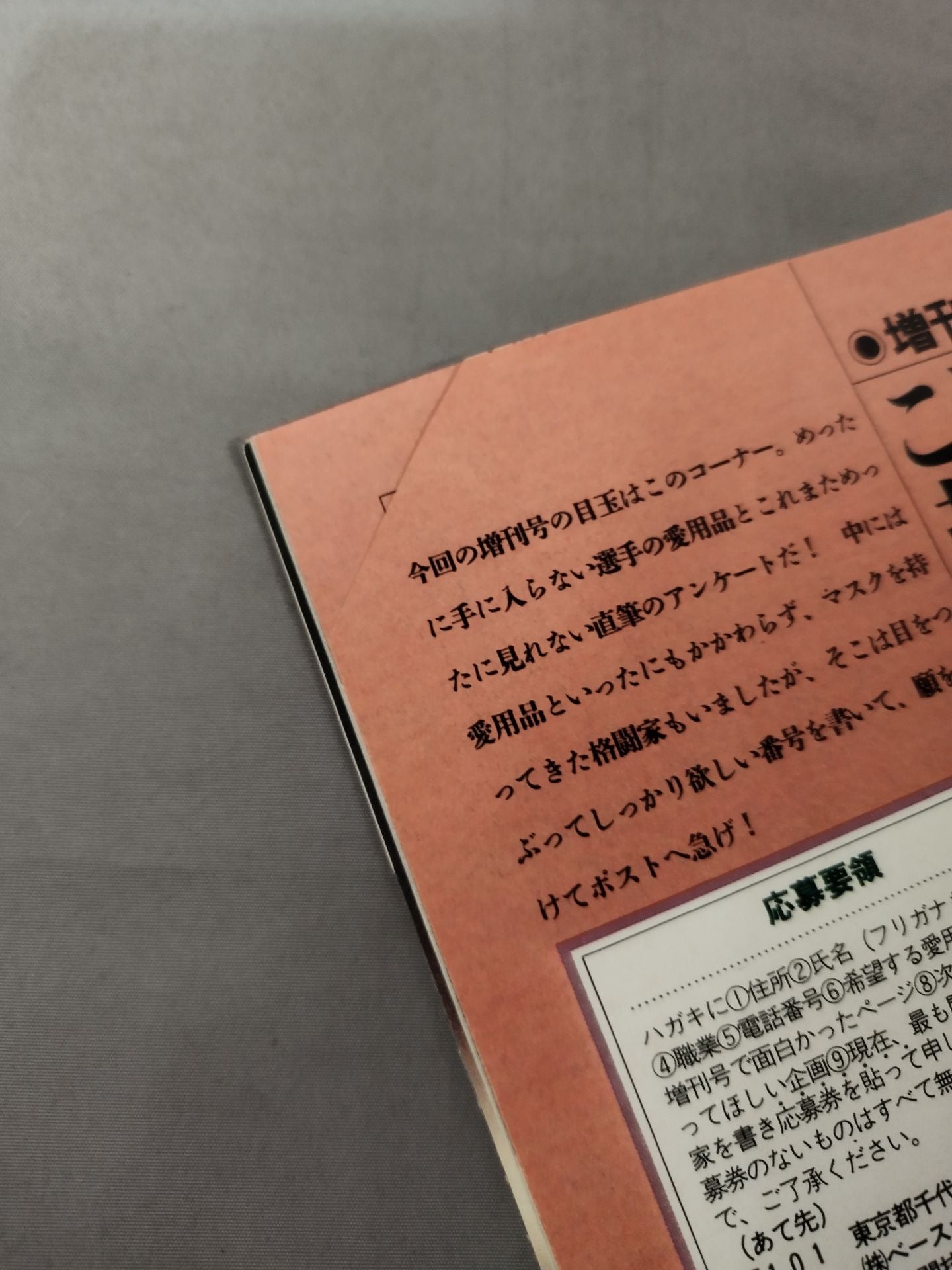 格闘技通信増刊111