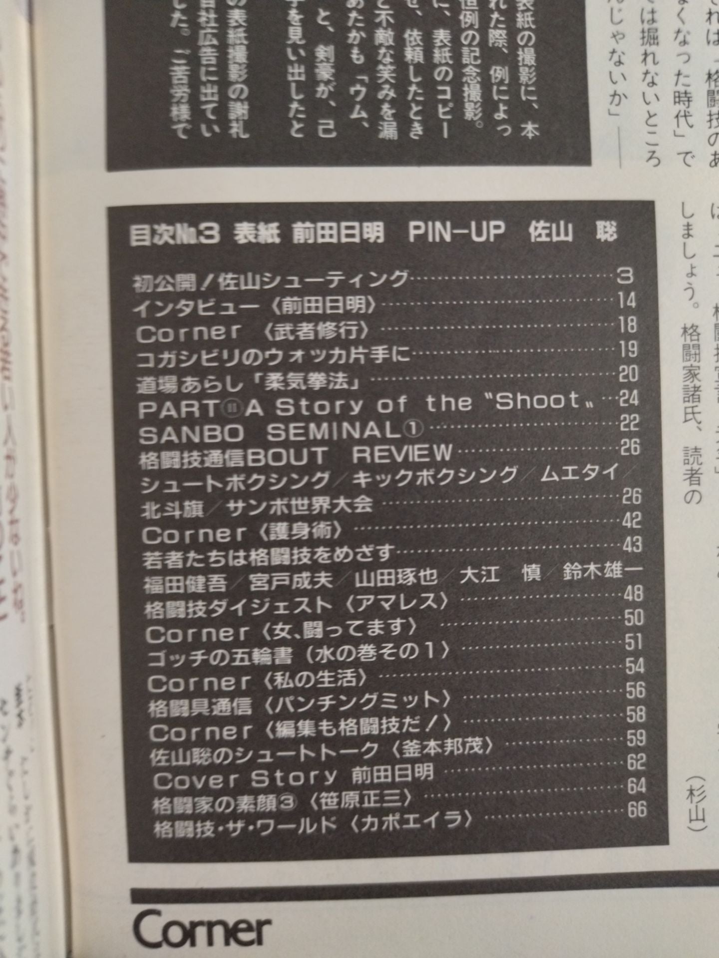 格闘技通信3(週刊プロレス181)