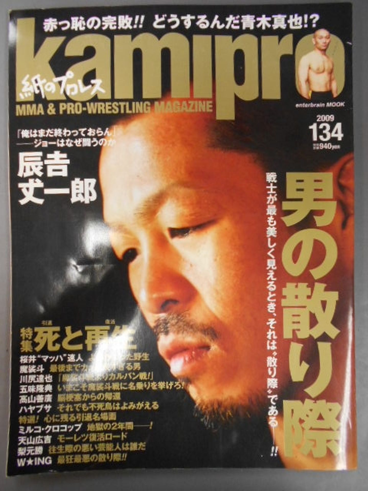 Paper Pro Wrestling RADICAL134