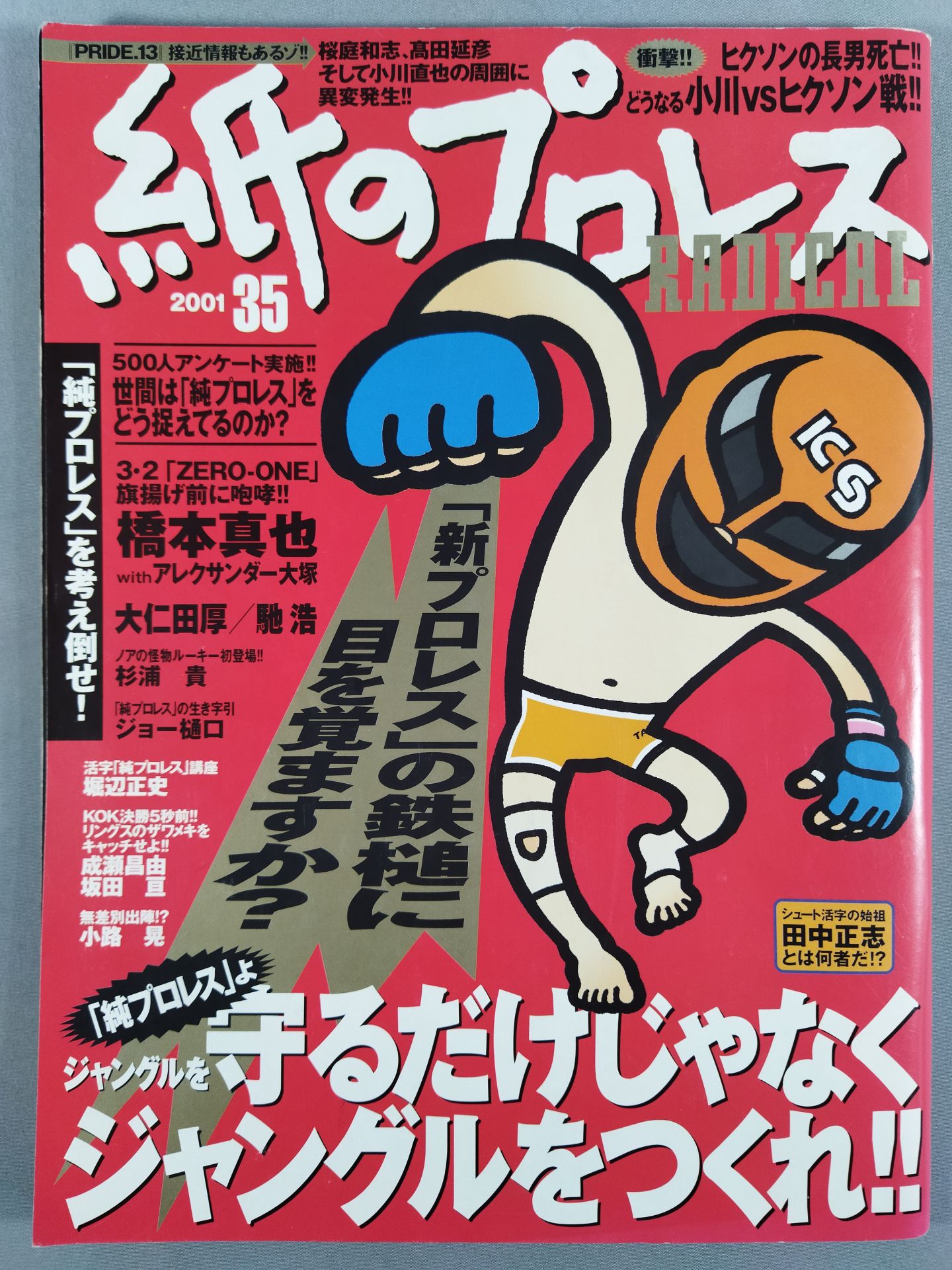 Paper Pro Wrestling RADICAL35