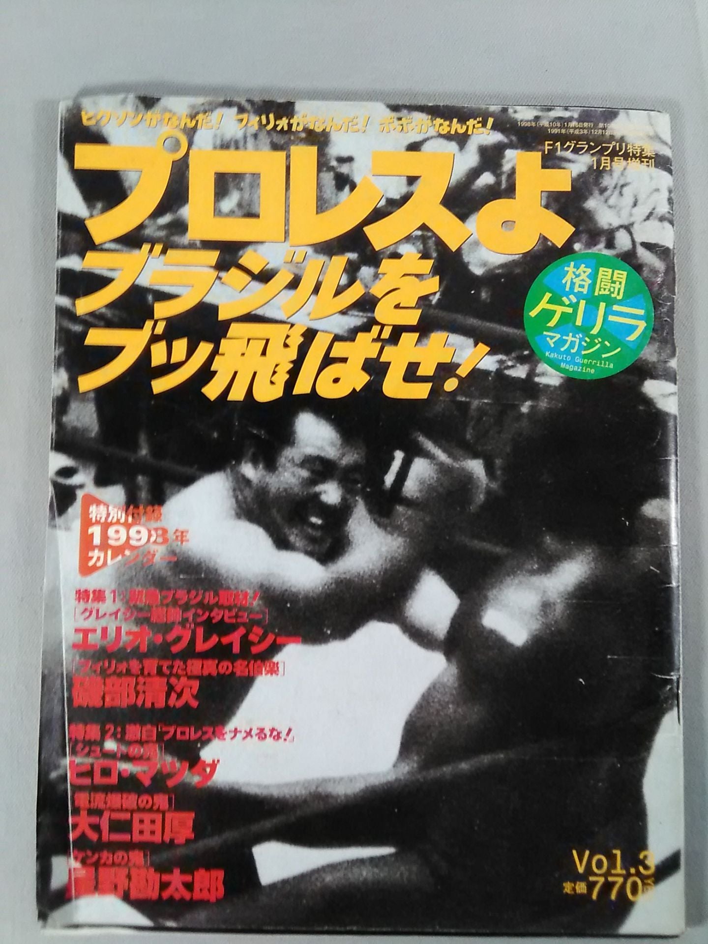 Fighting Guerrilla Magazine 3