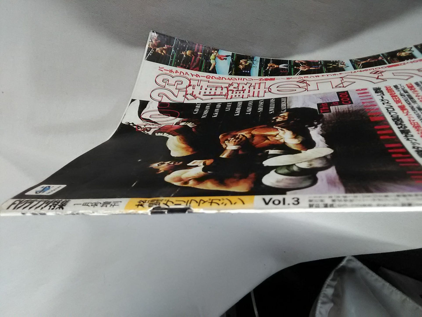 Fighting Guerrilla Magazine 3