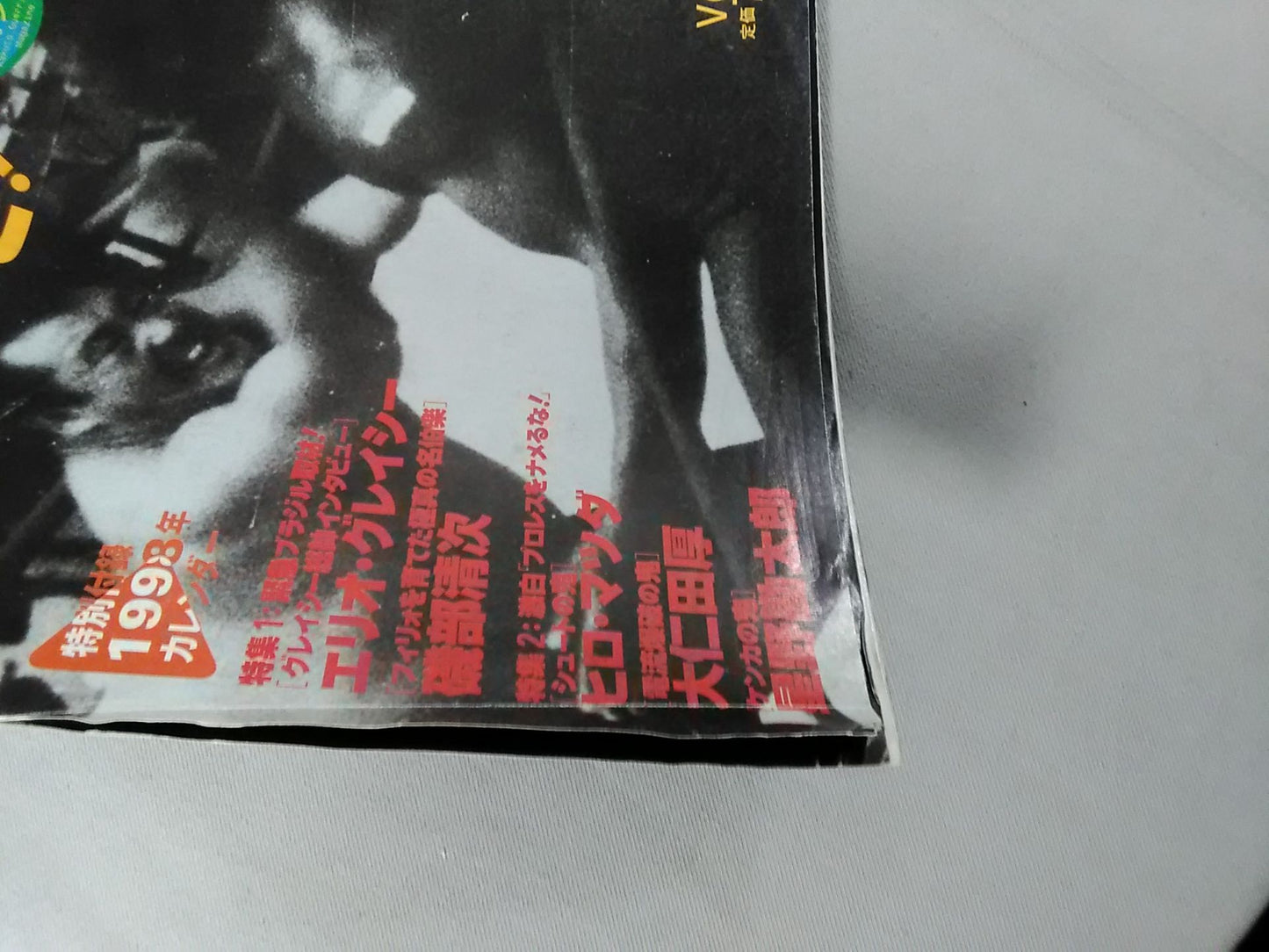 Fighting Guerrilla Magazine 3