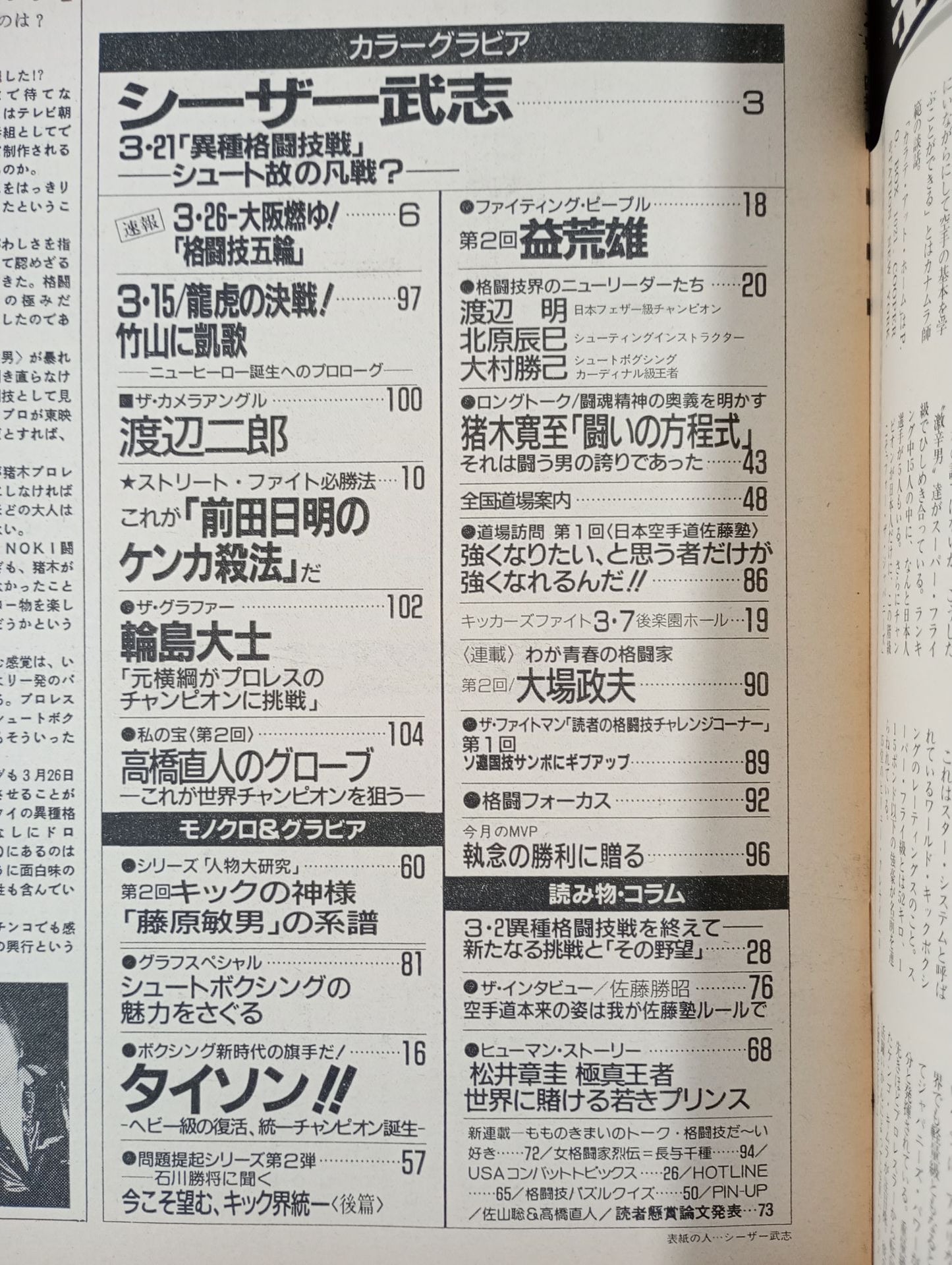 Martial Arts World 2