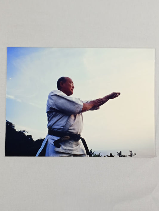 Mas Oyama (Masutatsu Oyama)  photo  (9)