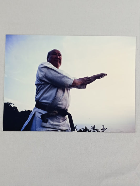 Mas Oyama (Masutatsu Oyama)  photo  (10)