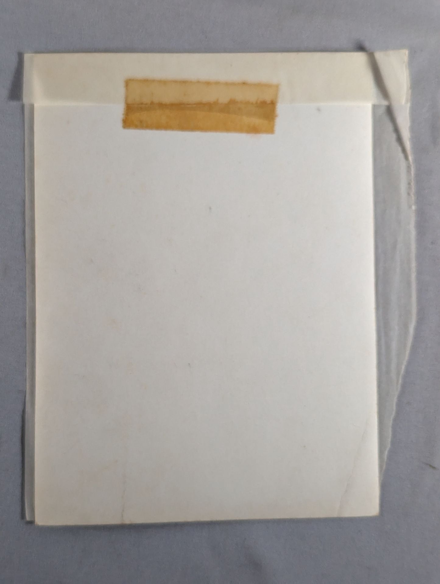 大山倍達 木の下で構える 白黒写真